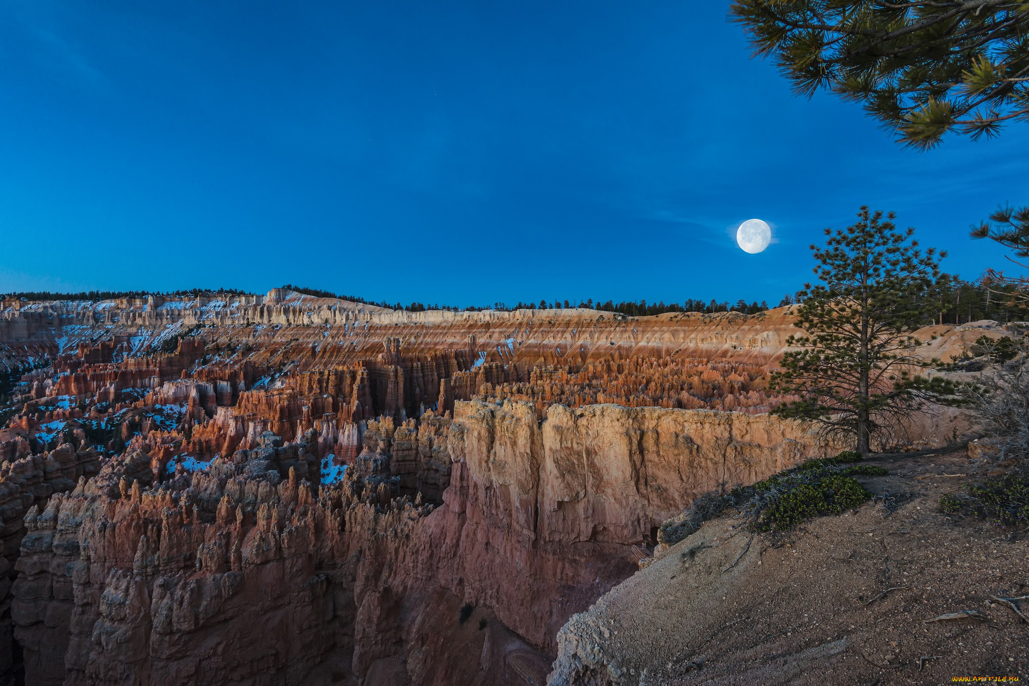 природа, горы, скалы, ночь, небо, луна