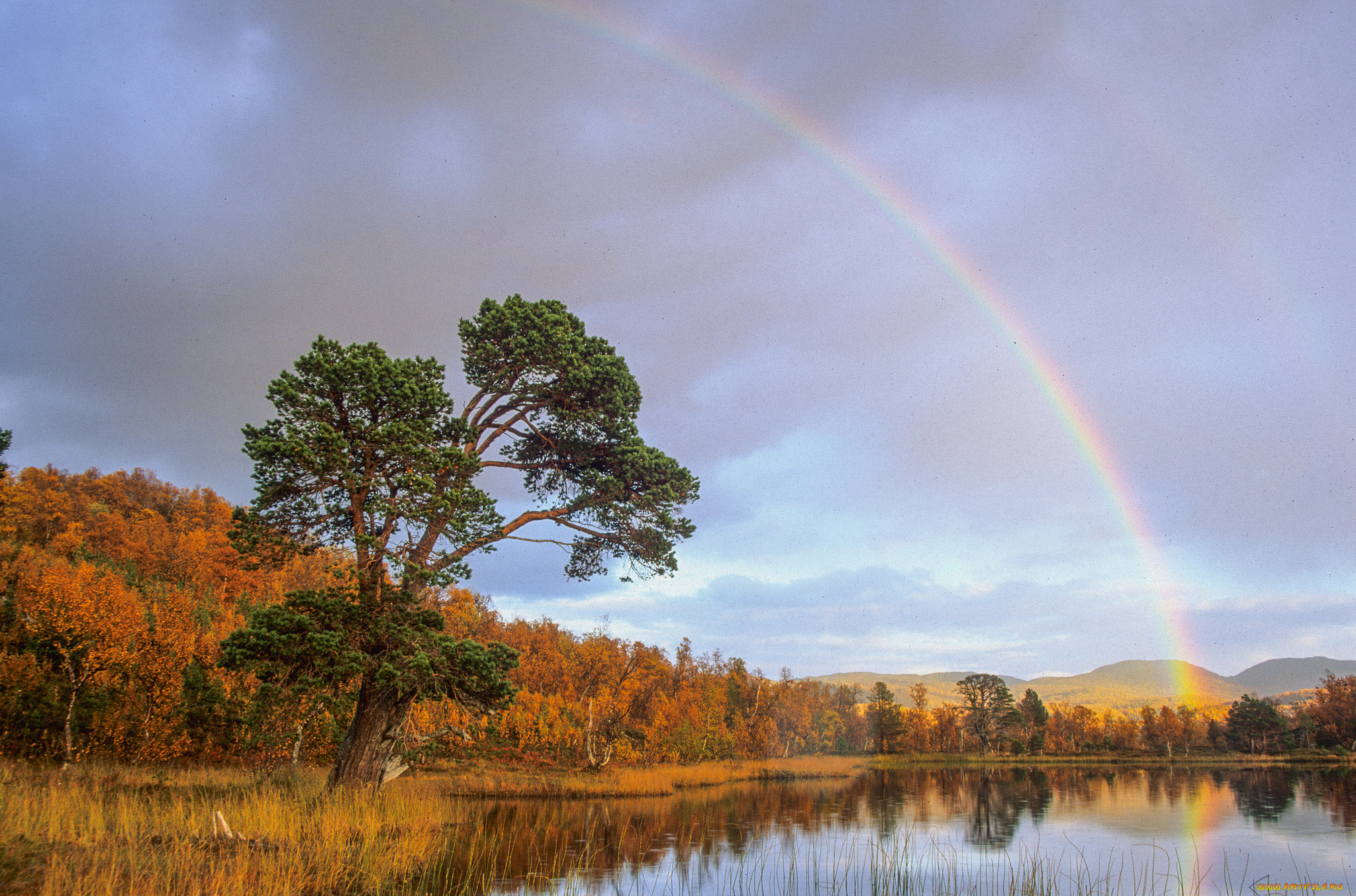 природа, радуга, река, лес