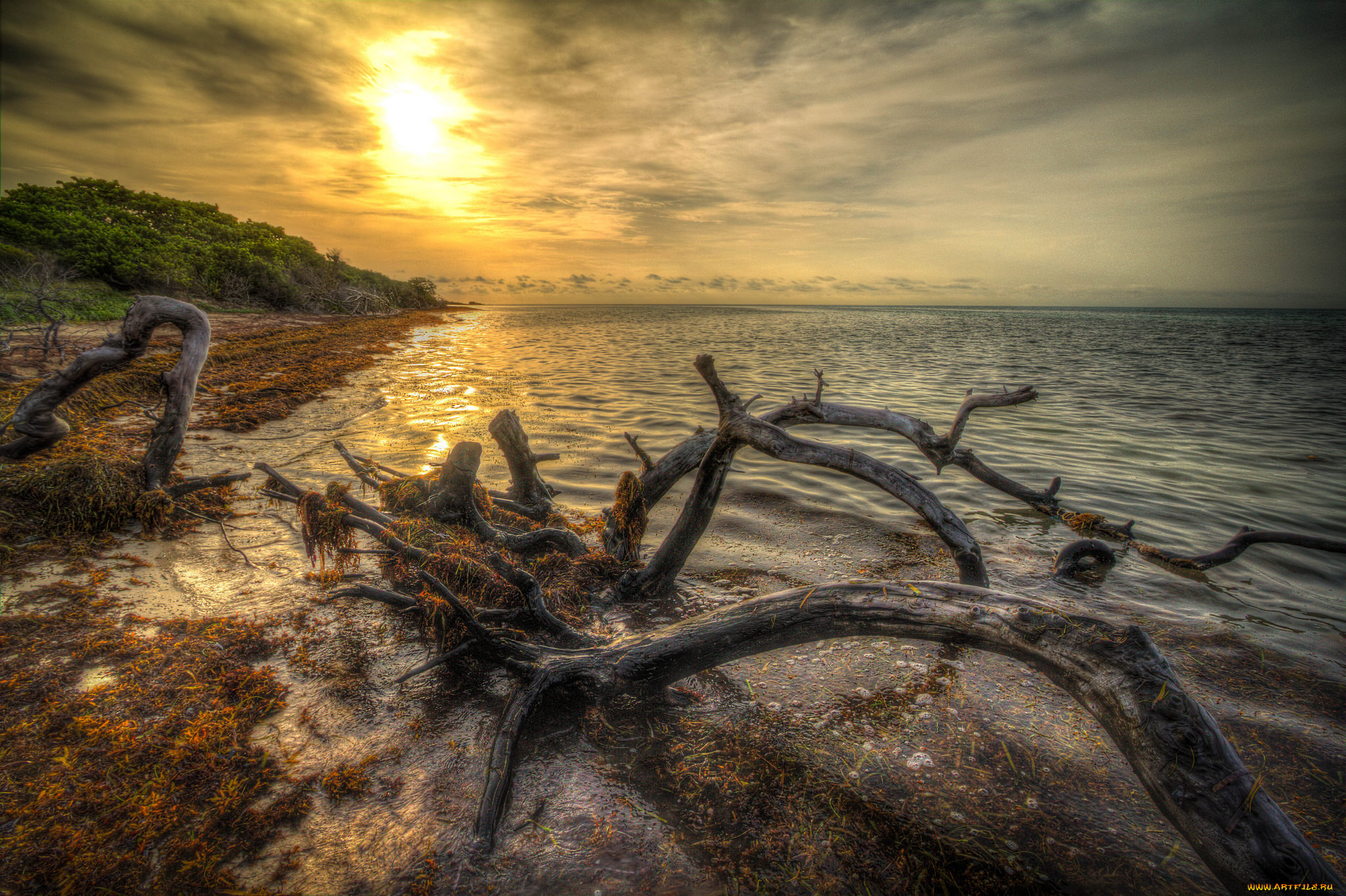 природа, восходы, закаты, рассвет