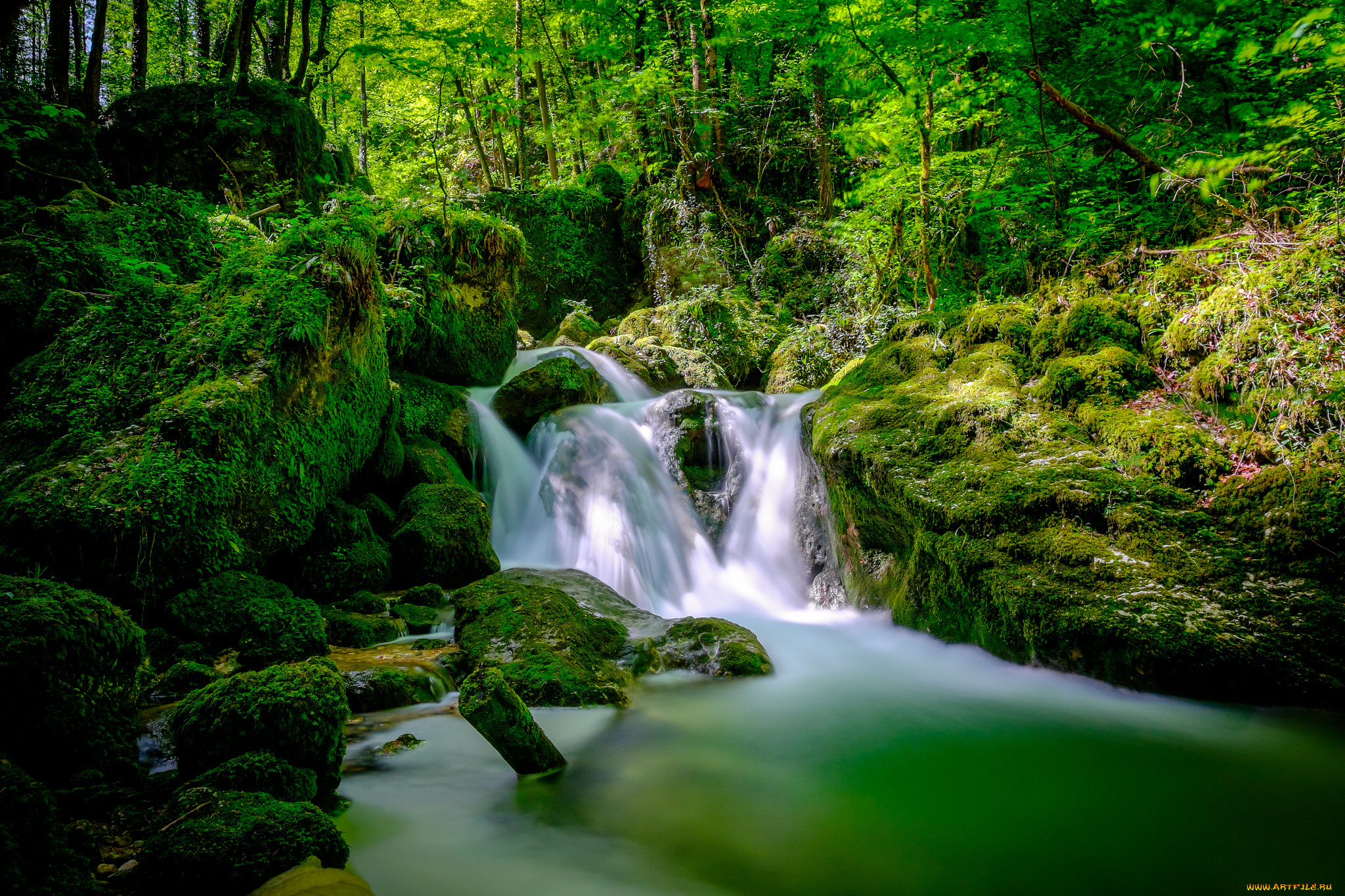 природа, реки, озера, ручей, лес