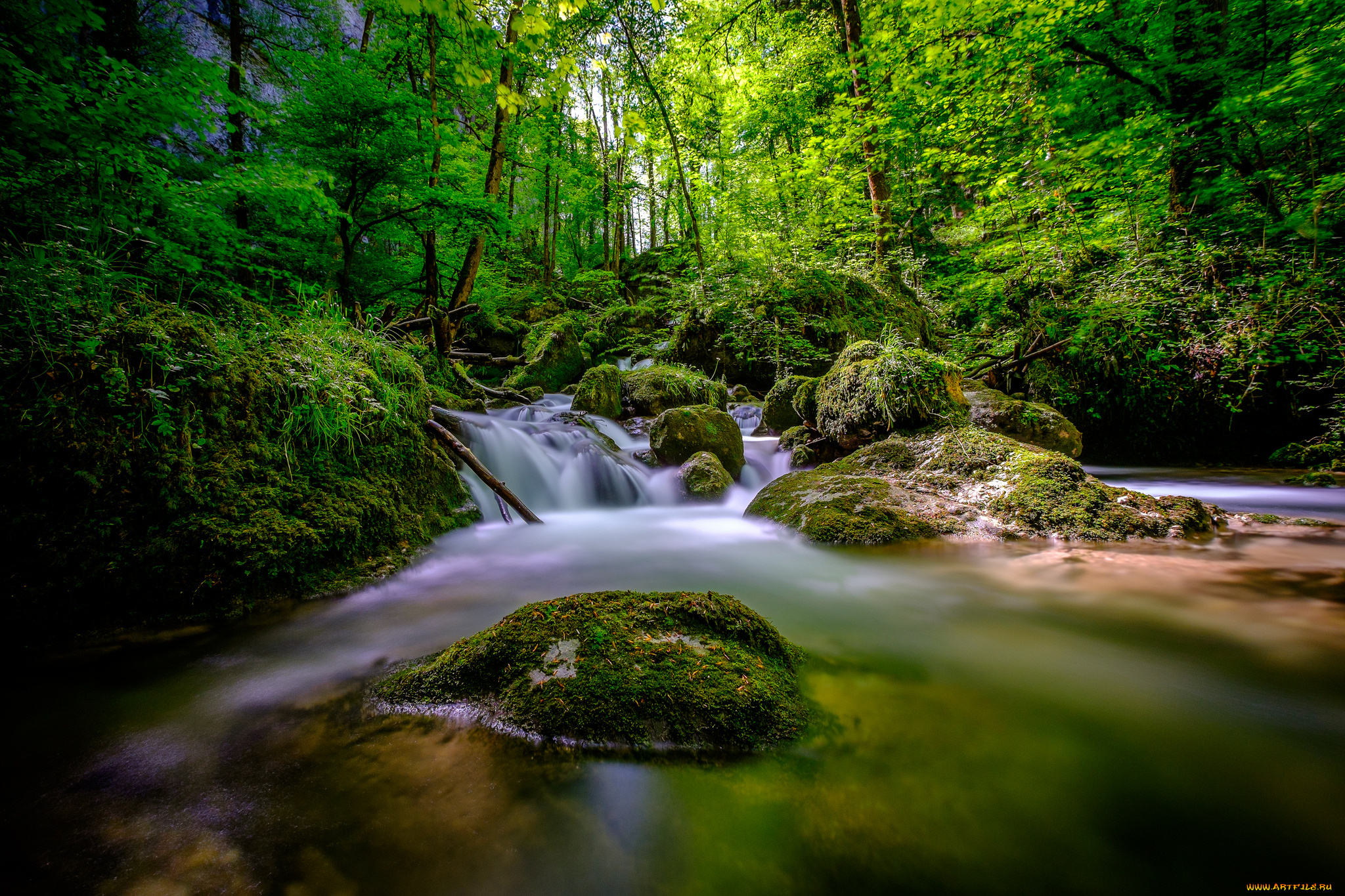 природа, реки, озера, ручей, лес