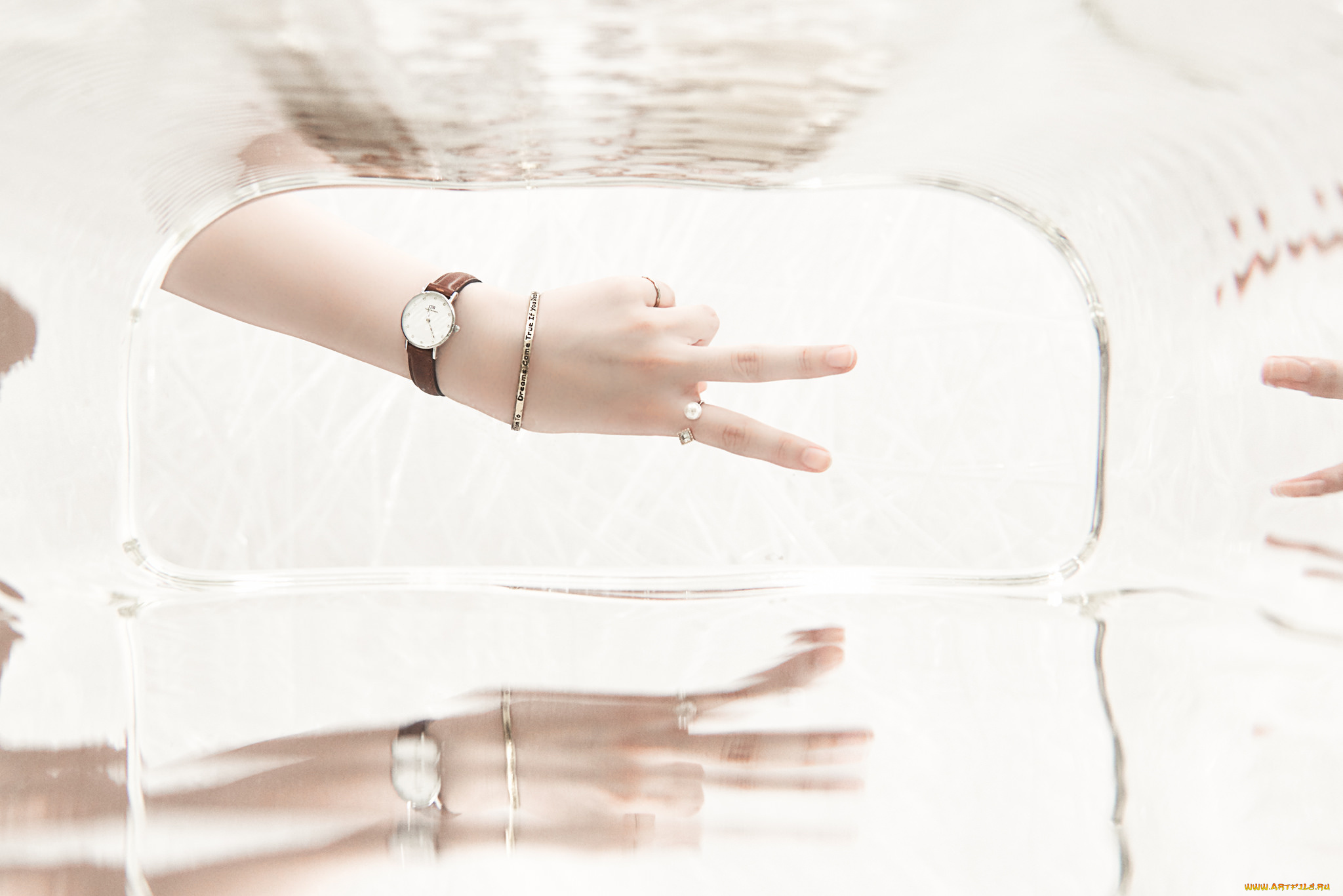 разное, руки, взгляд, тёмный, фон, пара, кошки, коты