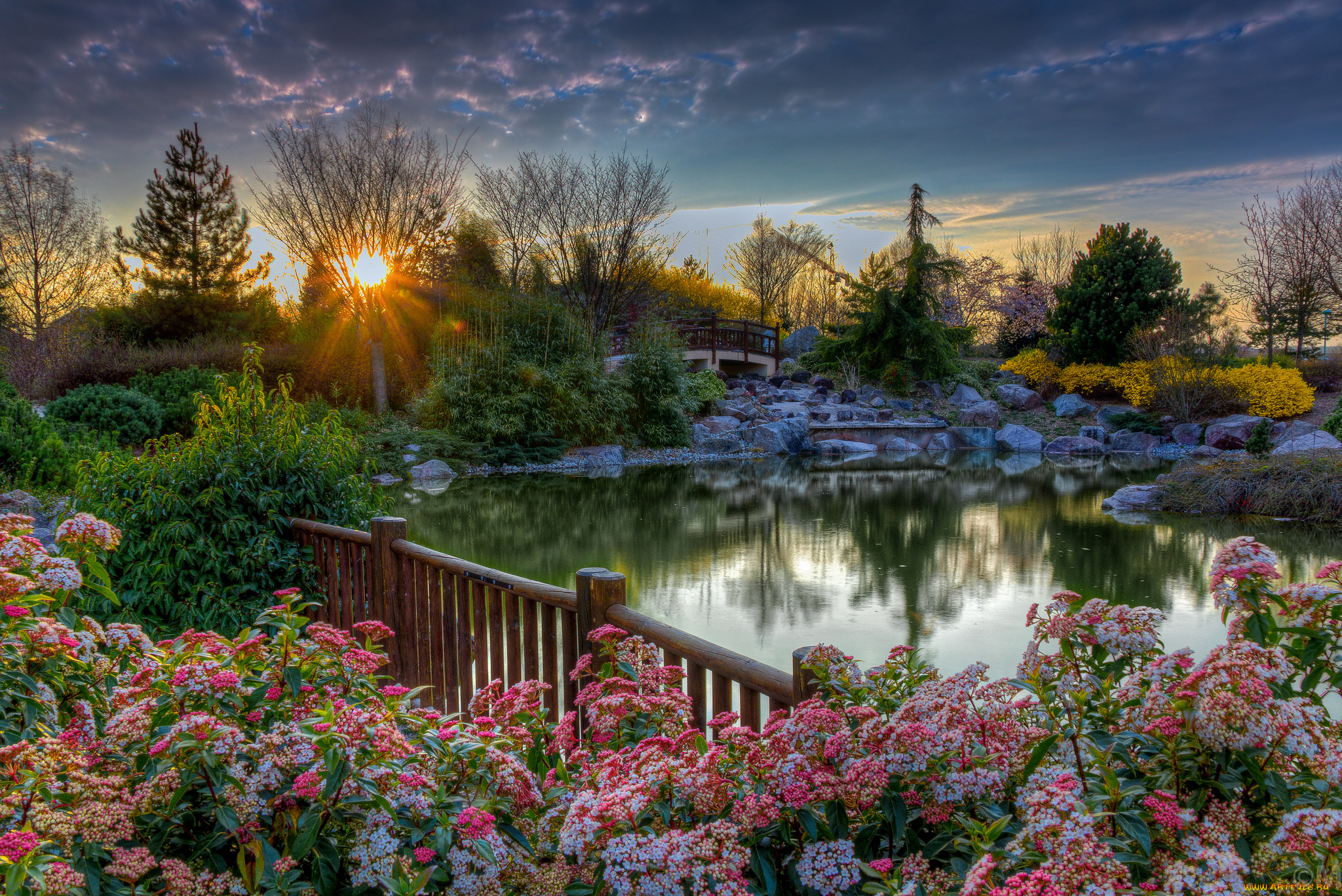 природа, восходы, закаты, рассвет, парк