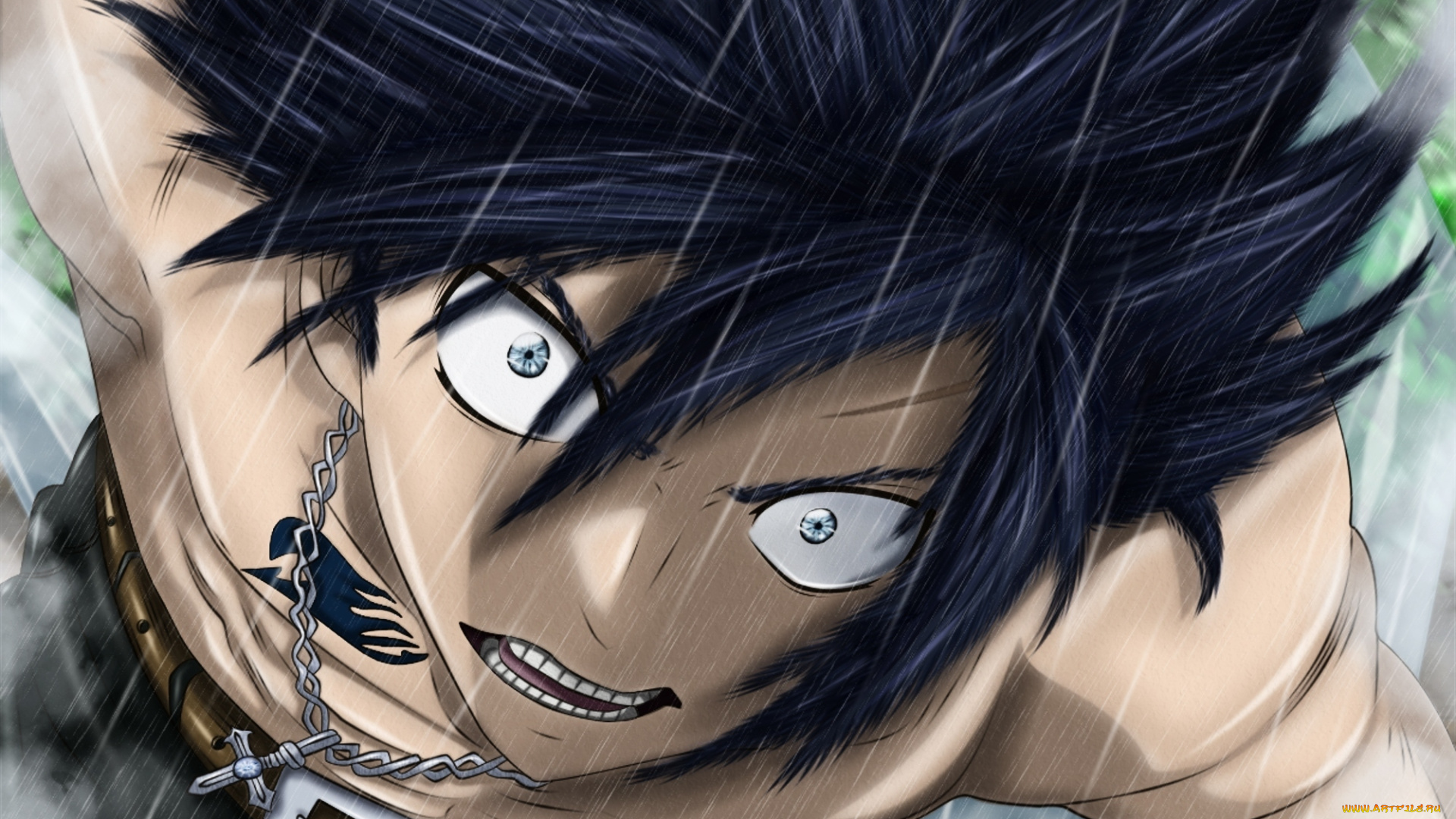 аниме, fairy, tail, хвост, феи