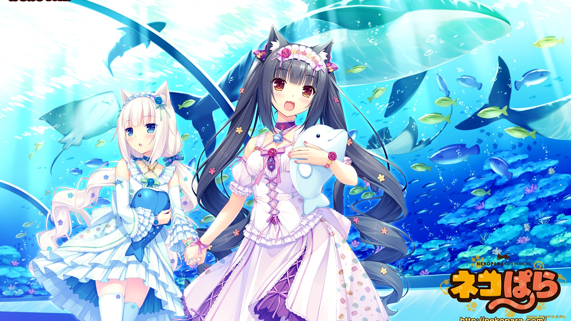 аниме, nekopara, девушка, фон, взгляд