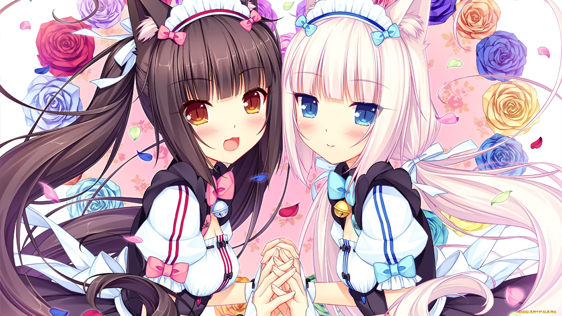 аниме, nekopara, фон, взгляд, девушки