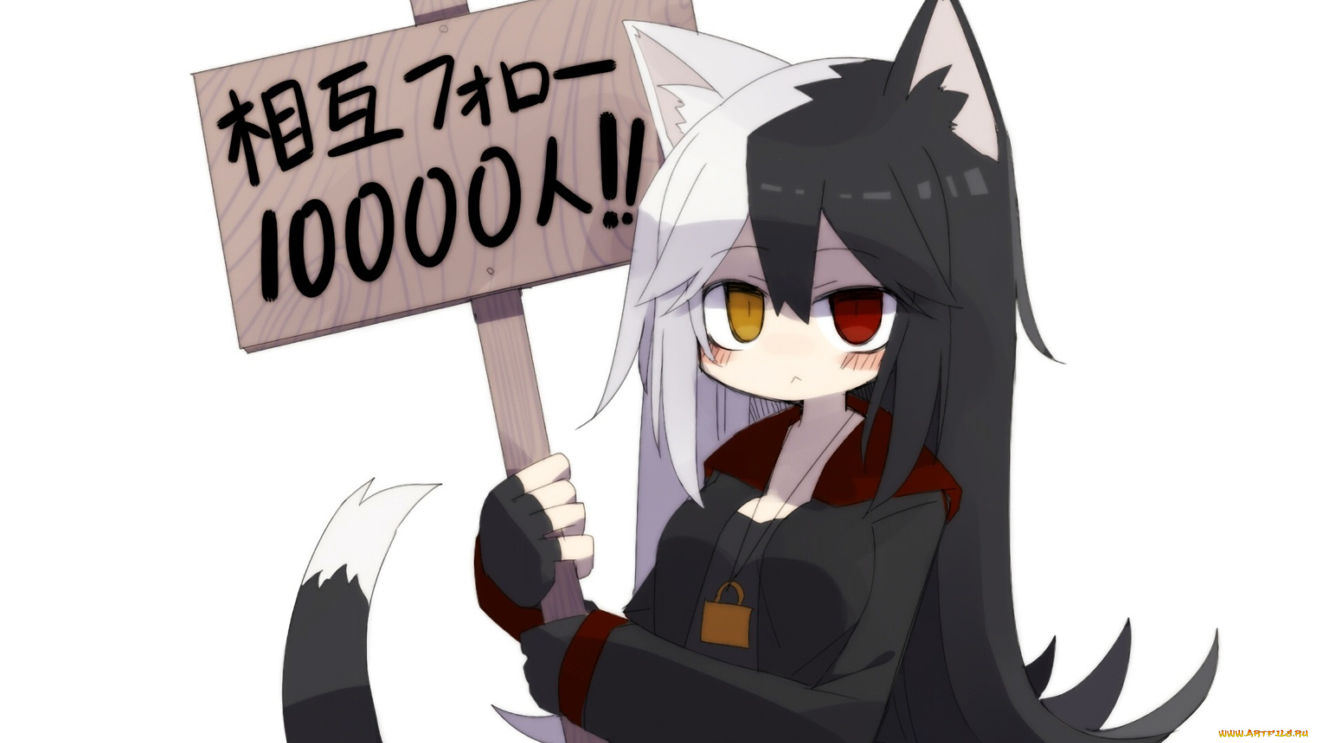 аниме, животные, , существа, кошечка