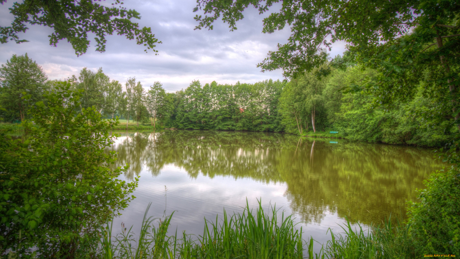 природа, реки, озера, озеро, деревья