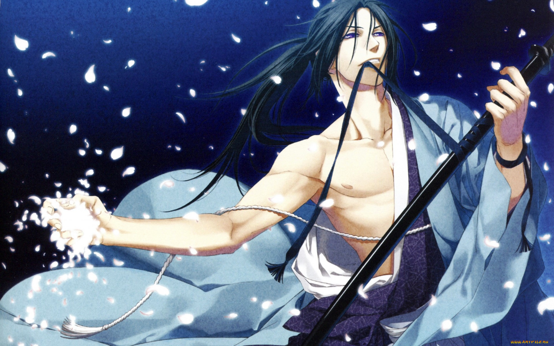 аниме, hakuouki, hakuoki