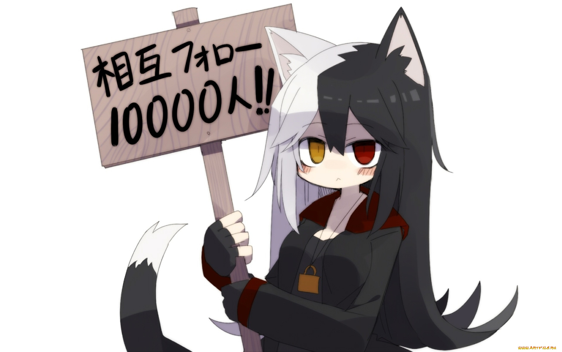 аниме, животные, , существа, кошечка