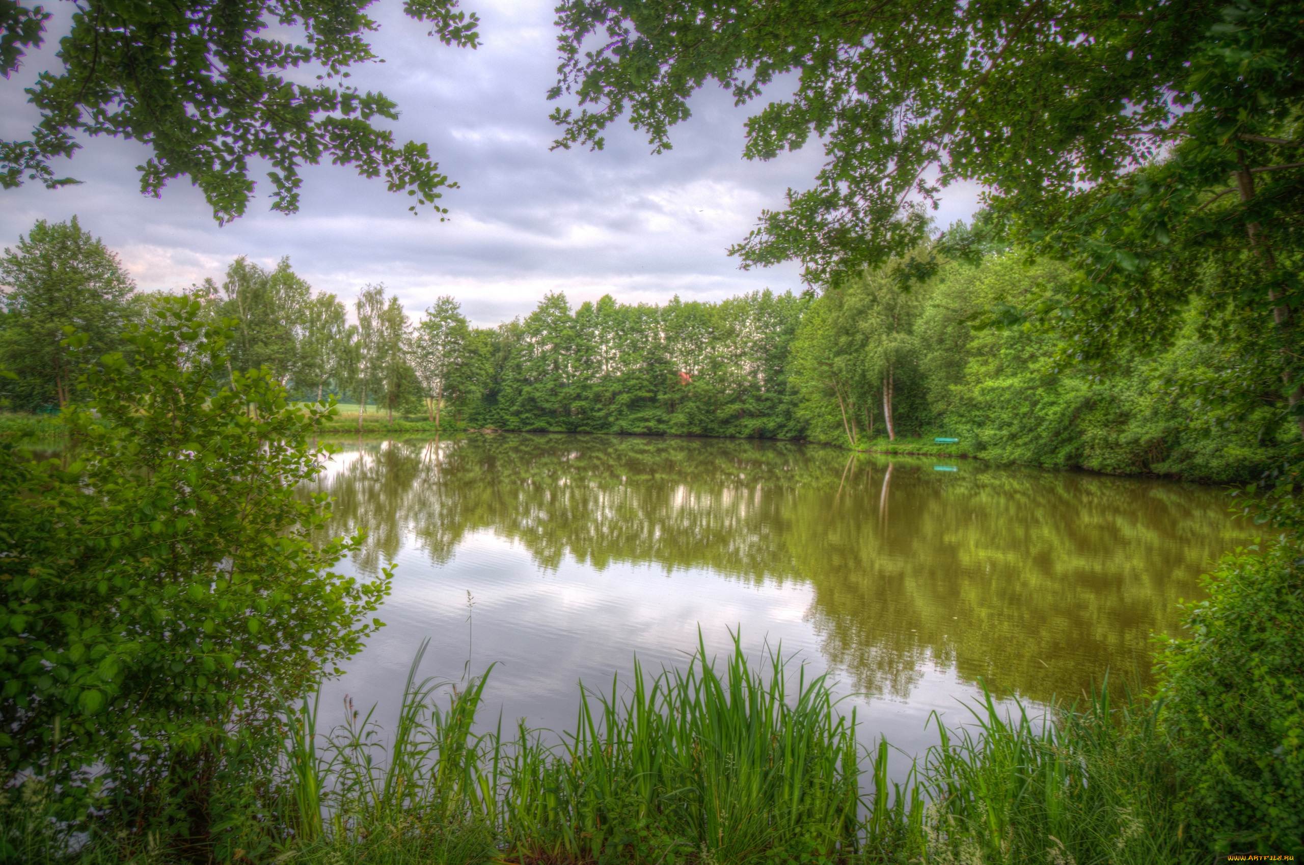 природа, реки, озера, озеро, деревья
