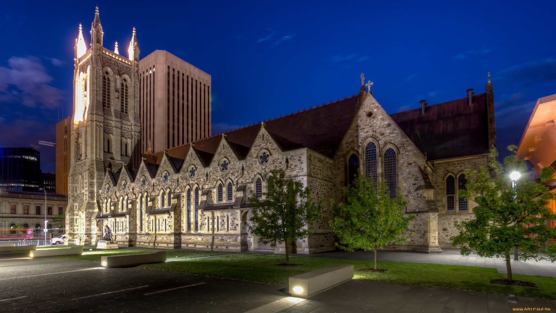 австралия, города, -, католические, соборы, , костелы, , аббатства, деревья, здания, ночь, освещение