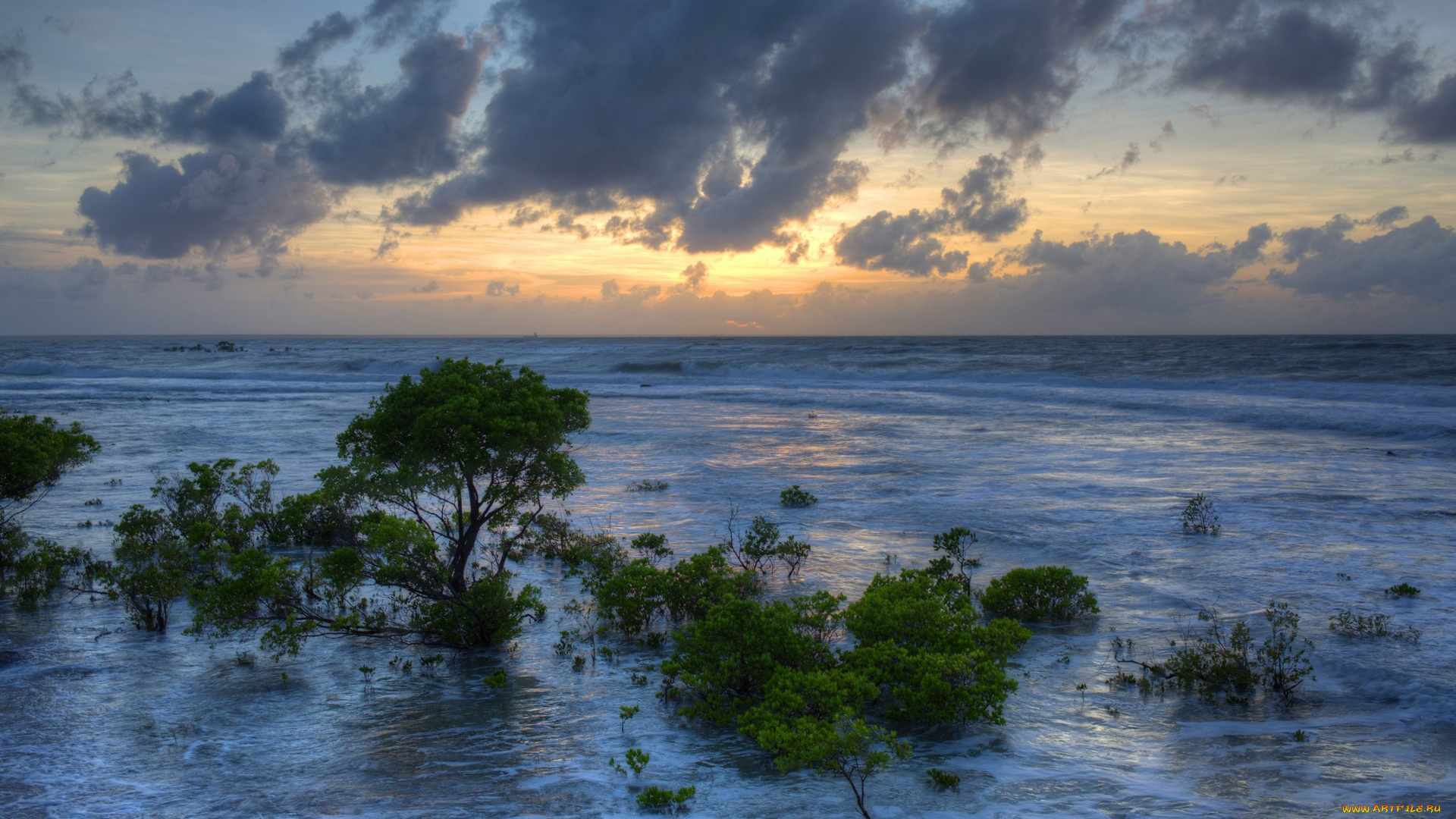 австралия, природа, моря, океаны, водоем, деревья, облака