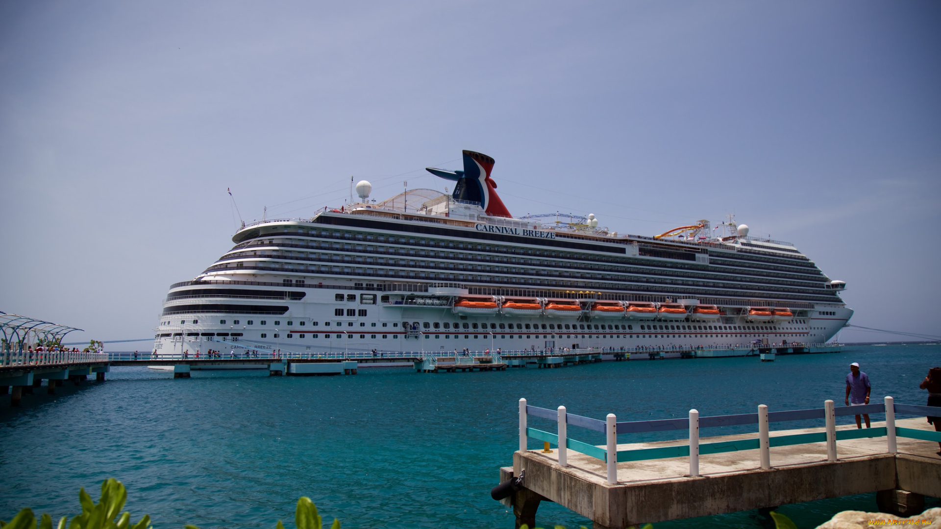 carnival, breeze, корабли, лайнеры, круиз, лайнер