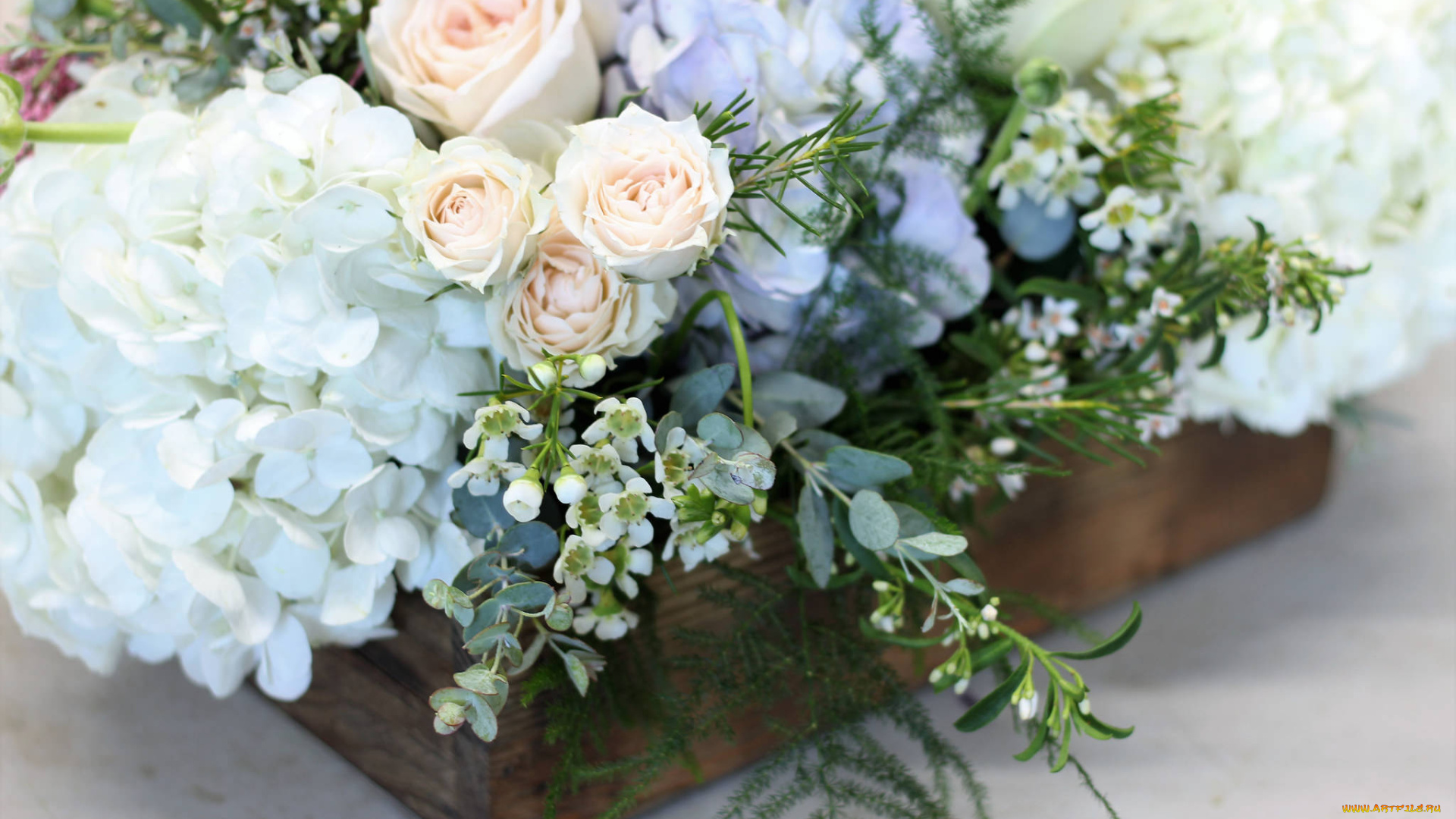 цветы, букеты, , композиции, букет, композиция