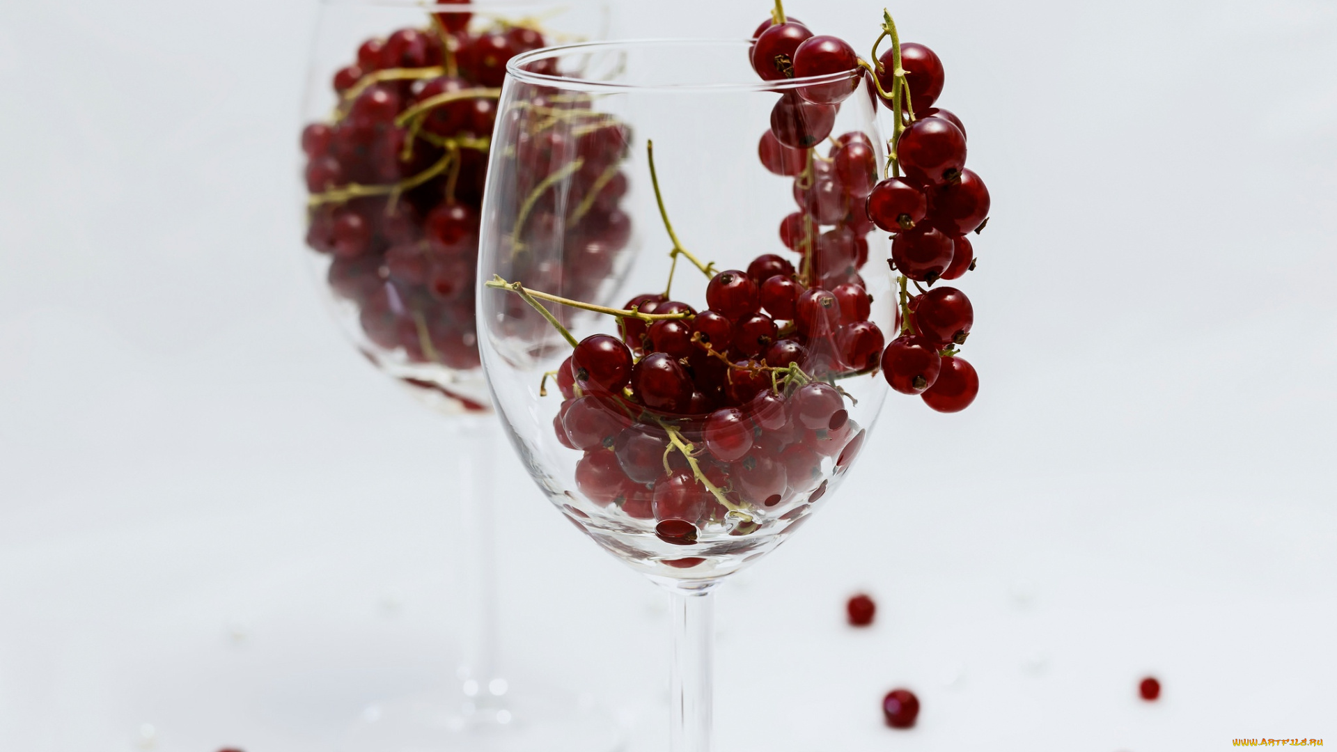 еда, смородина, фужер, натюрморт, посуда, стекло, ягоды, бокал