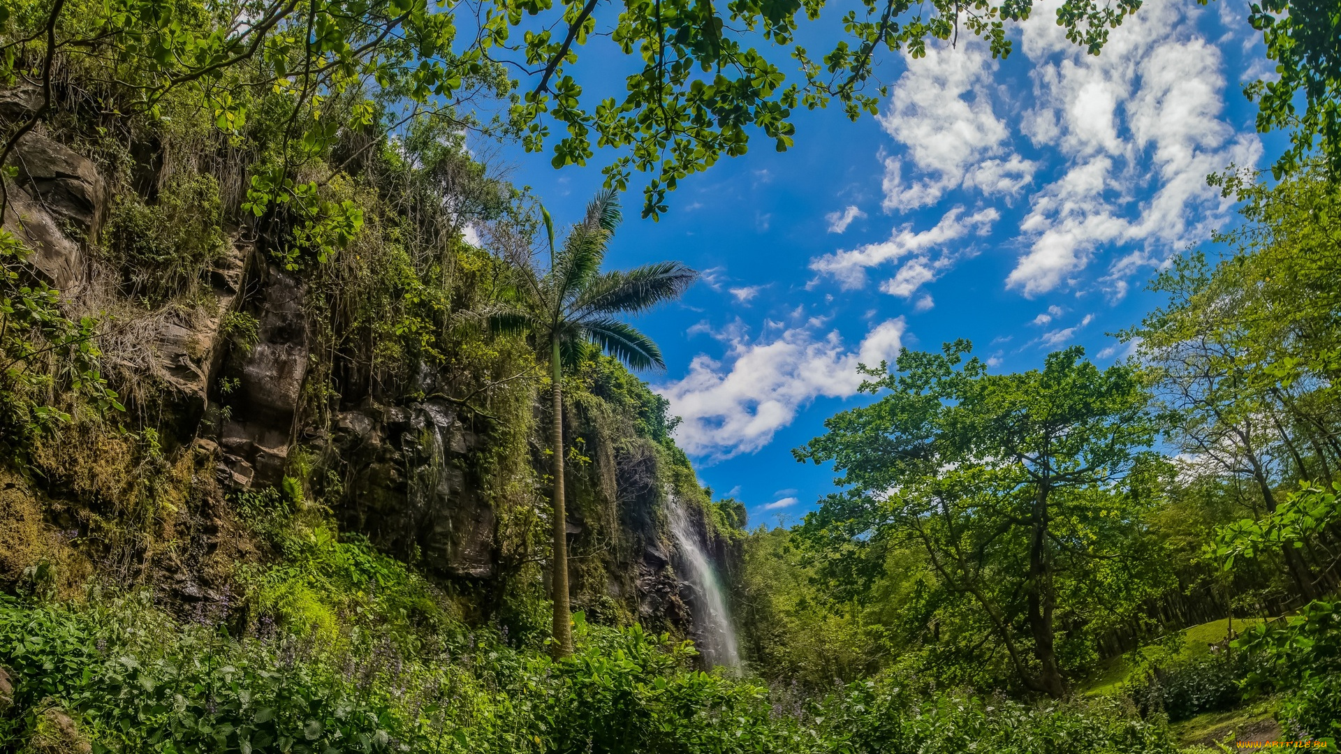 франция, природа, водопады, облака, деревья, гора, пальма