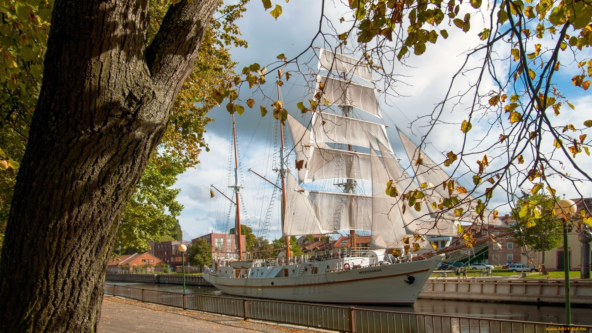 корабли, парусники, деревья, здания, фонари, набережная, водоем