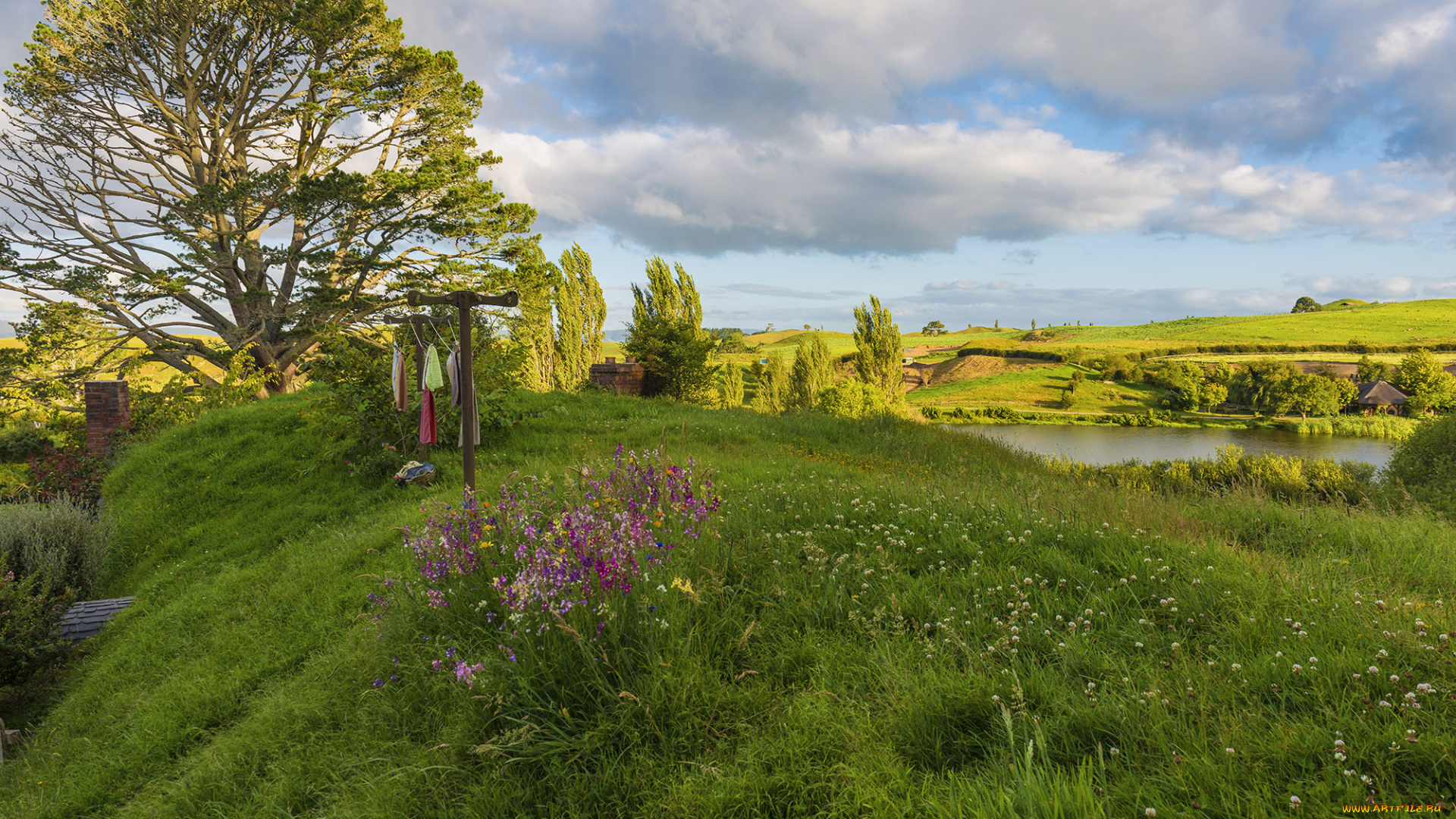 новая, зеландия, природа, пейзажи, облака, растения, водоем, деревья, цветы, трава