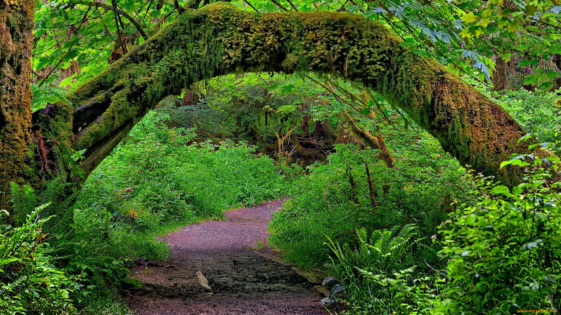 природа, дороги, простор