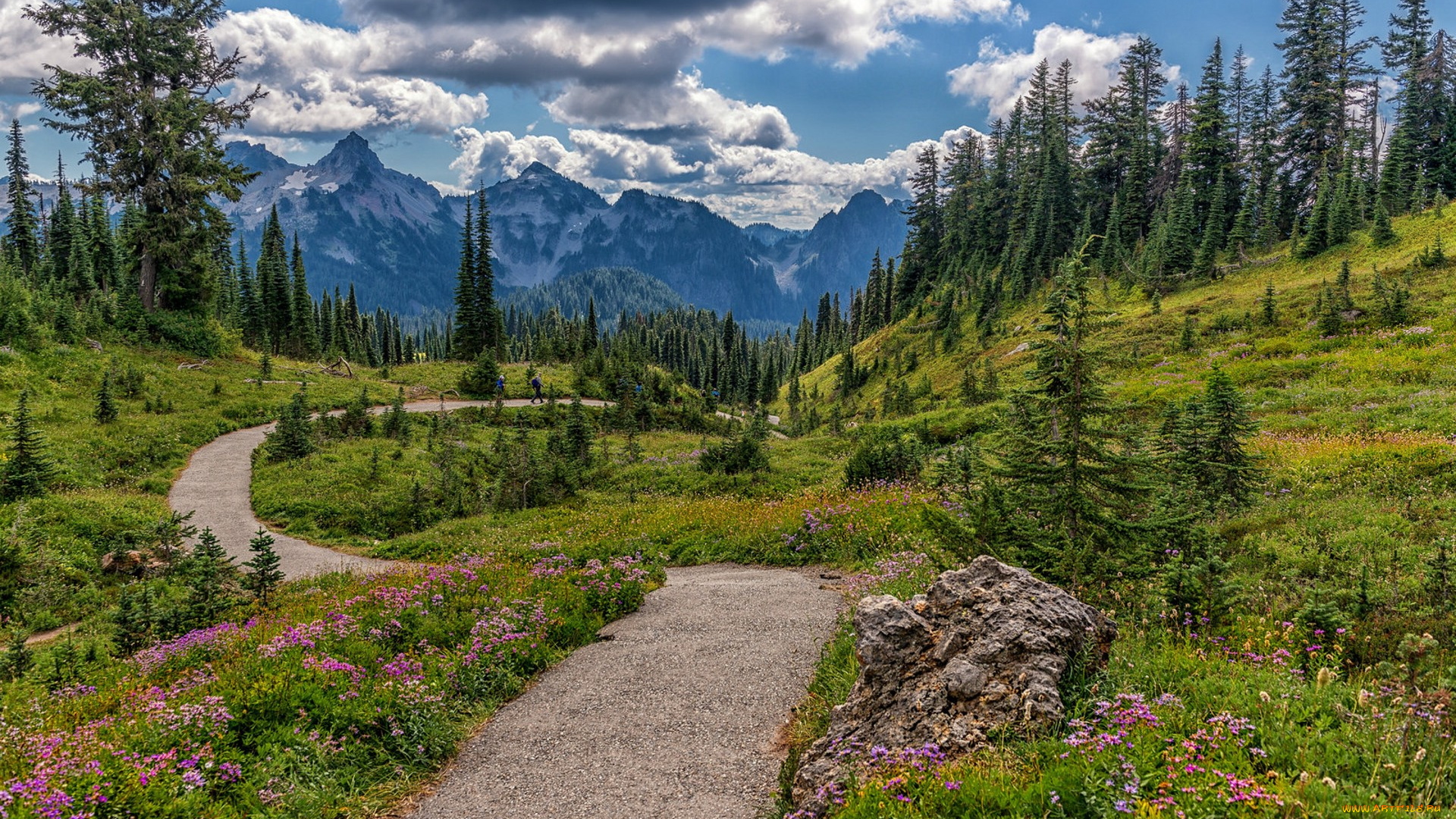 природа, дороги, простор