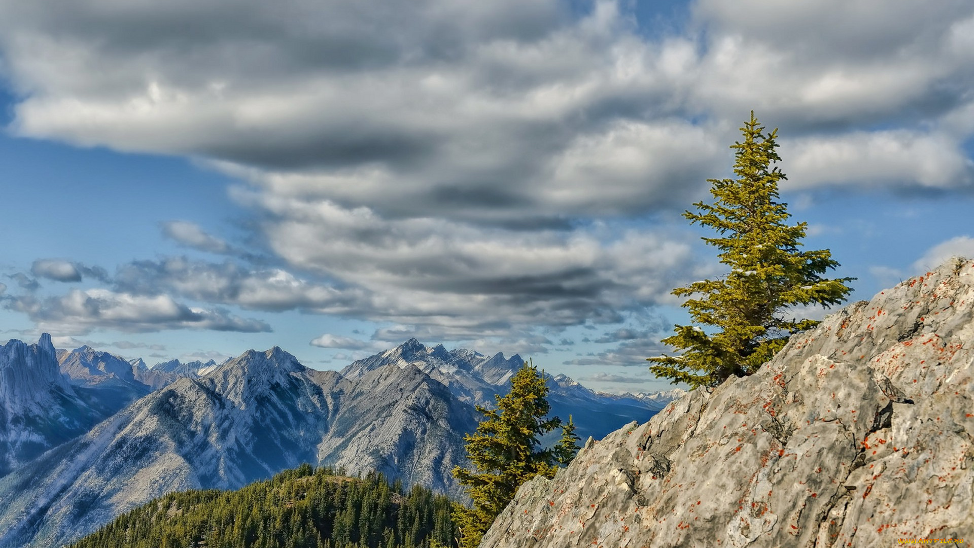 природа, горы, простор