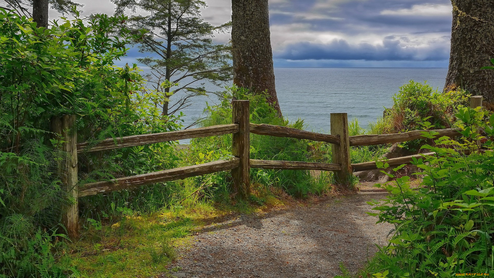 природа, пейзажи, простор