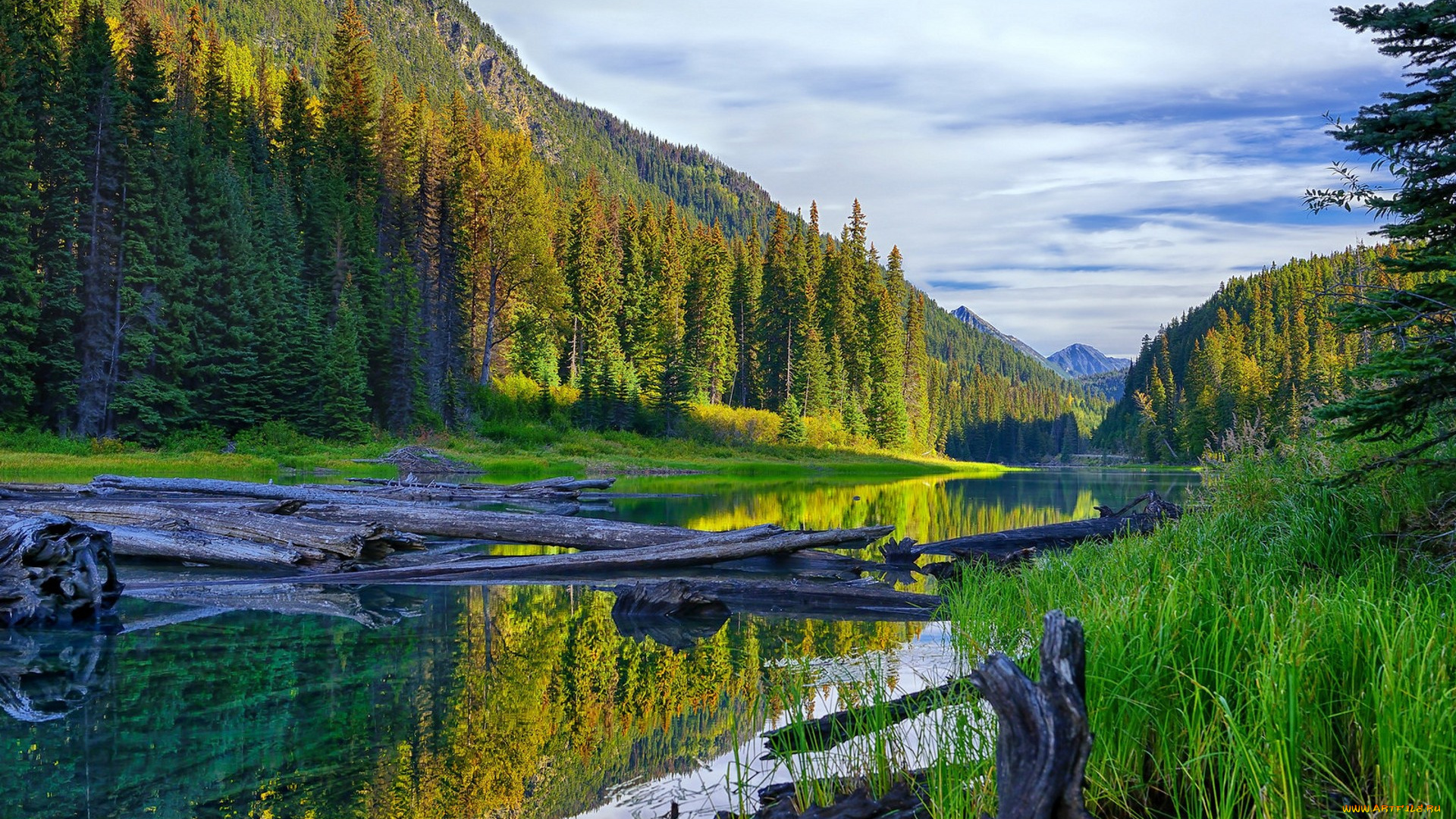 природа, реки, озера, простор