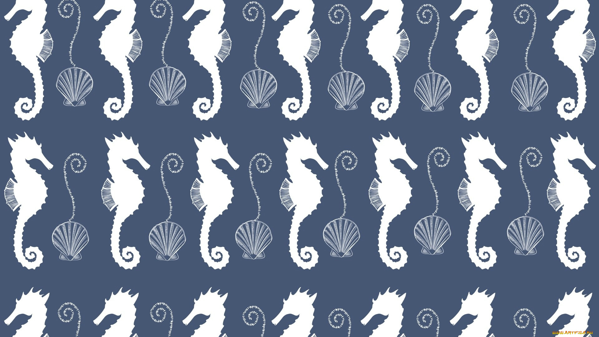 векторная, графика, животные, , animals, морской, конек