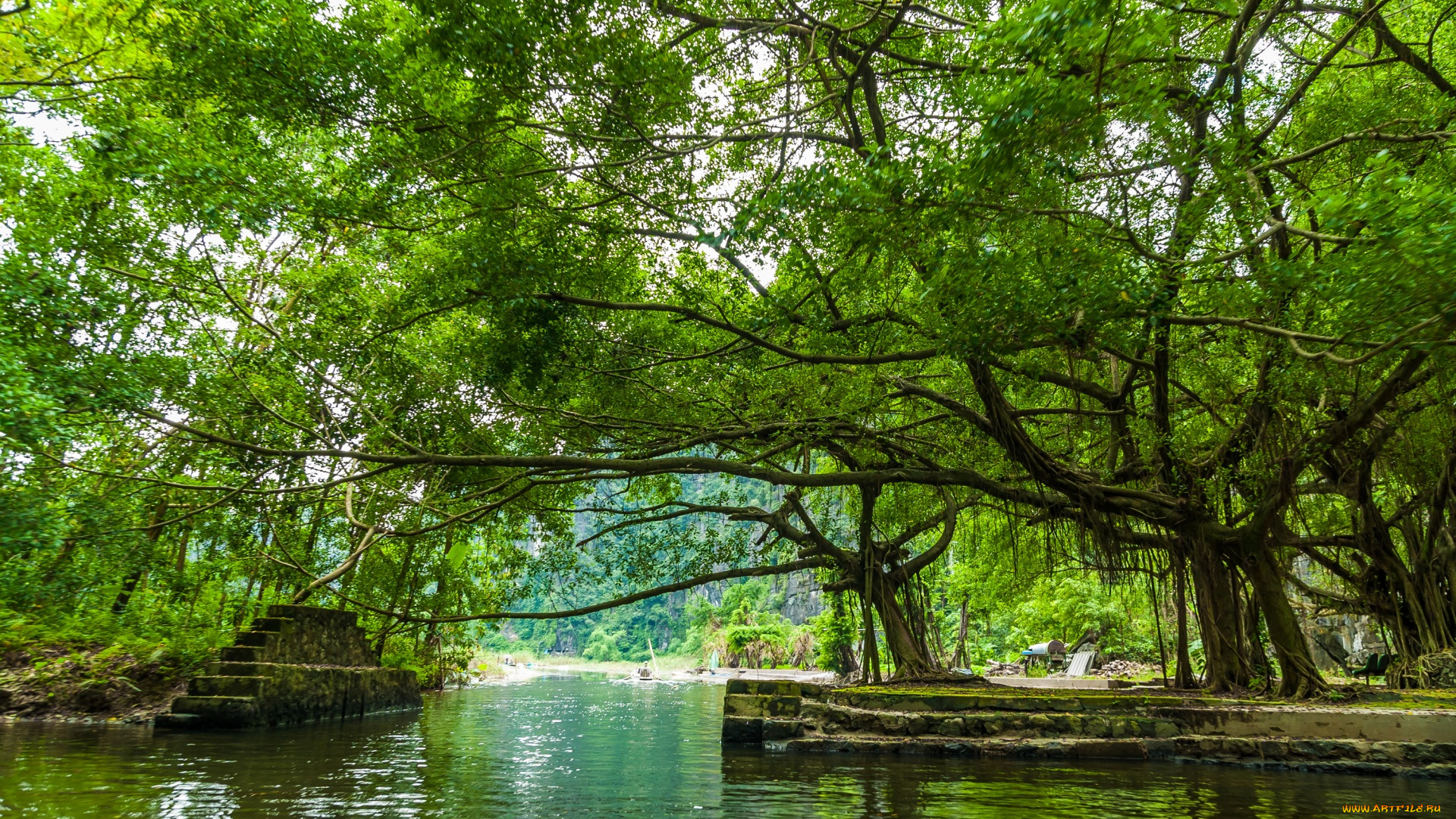 вьетнам, природа, реки, озера, водоем, деревья, ступени