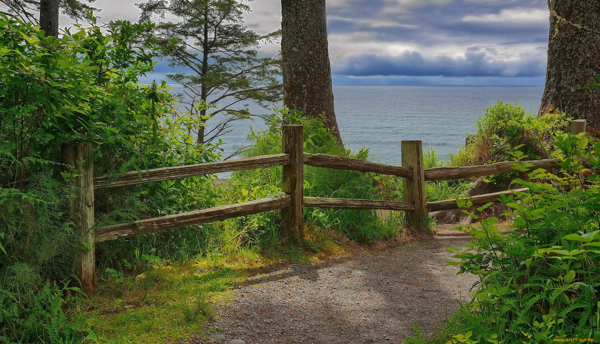 природа, пейзажи, простор