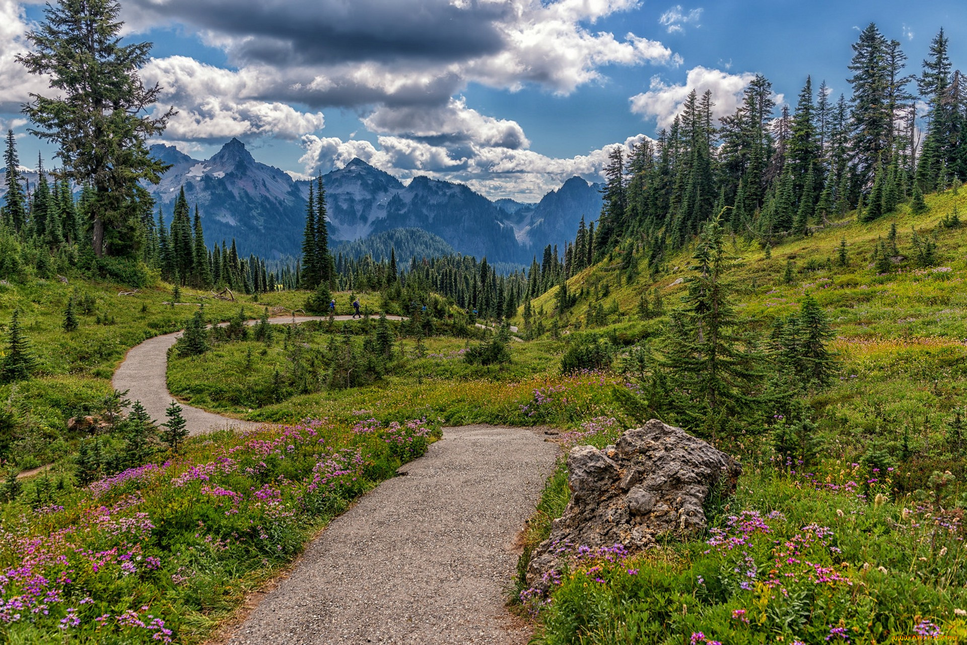 природа, дороги, простор