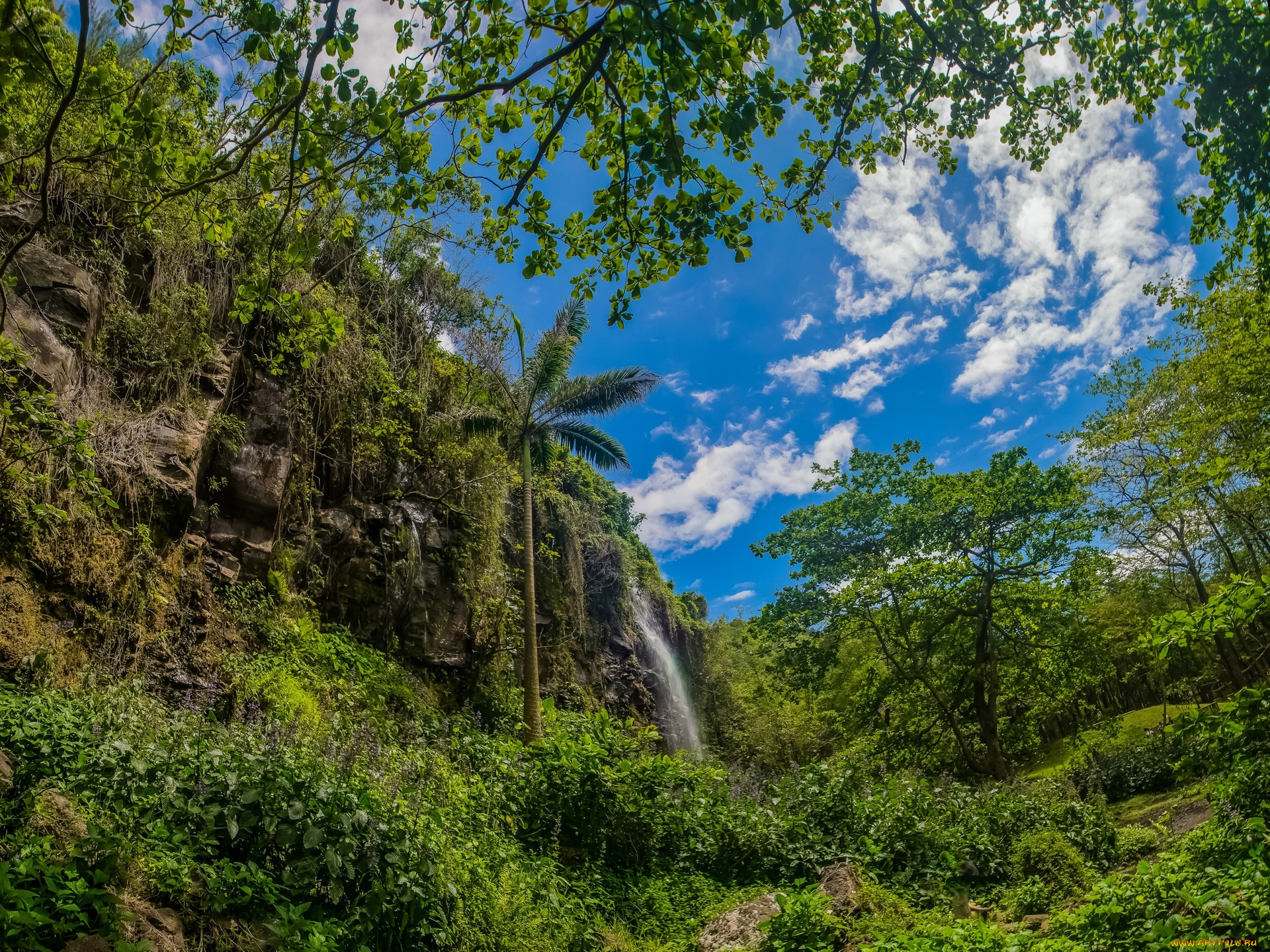 франция, природа, водопады, облака, деревья, гора, пальма