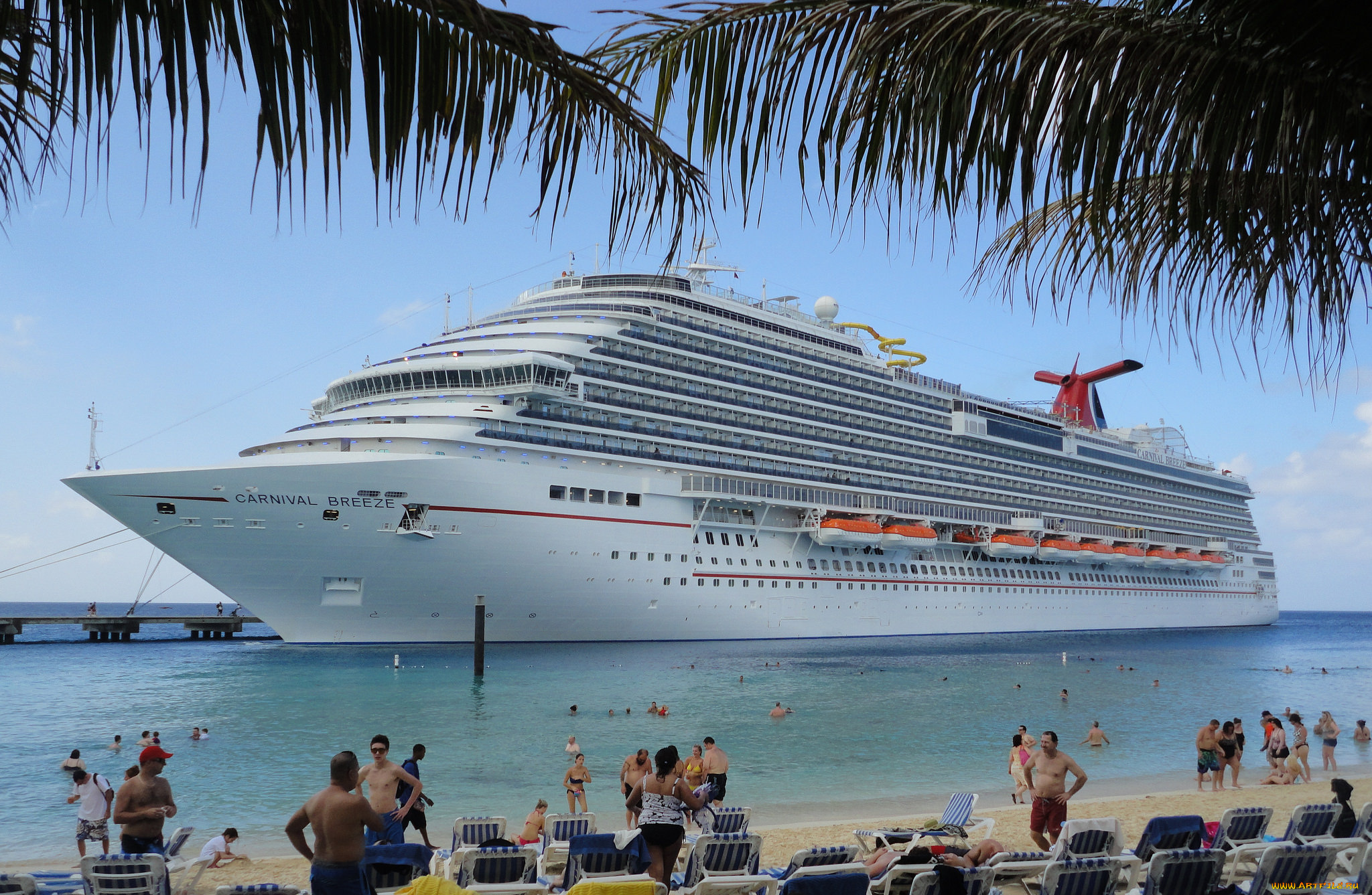 carnival, breeze, корабли, лайнеры, круиз, лайнер