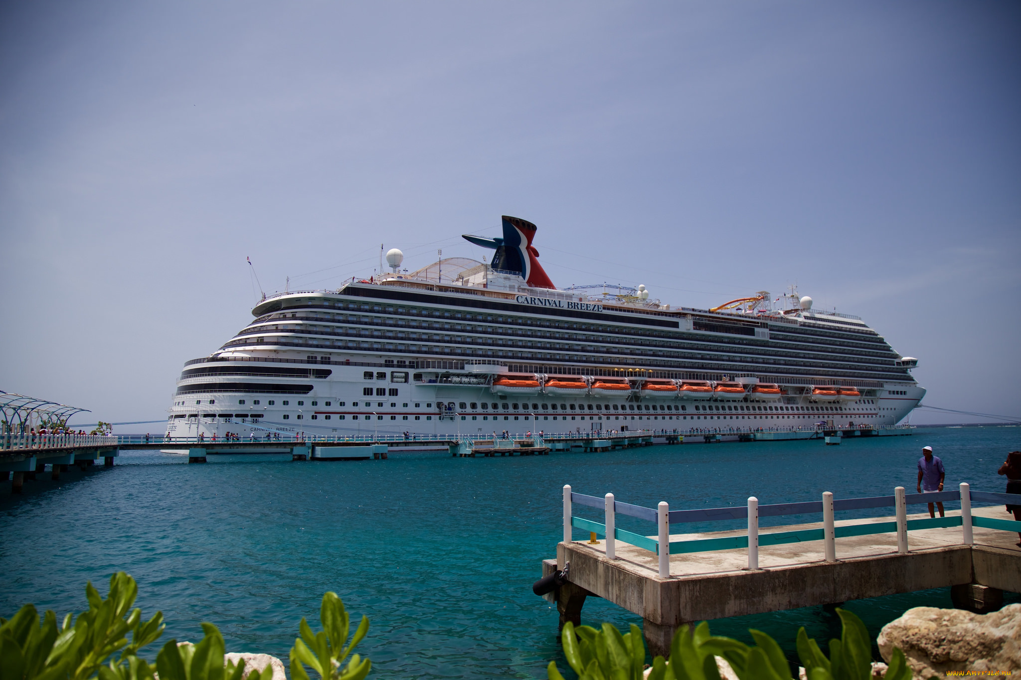 carnival, breeze, корабли, лайнеры, круиз, лайнер