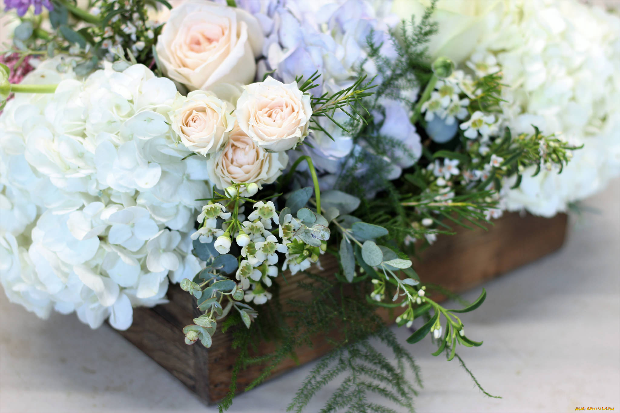 цветы, букеты, , композиции, букет, композиция