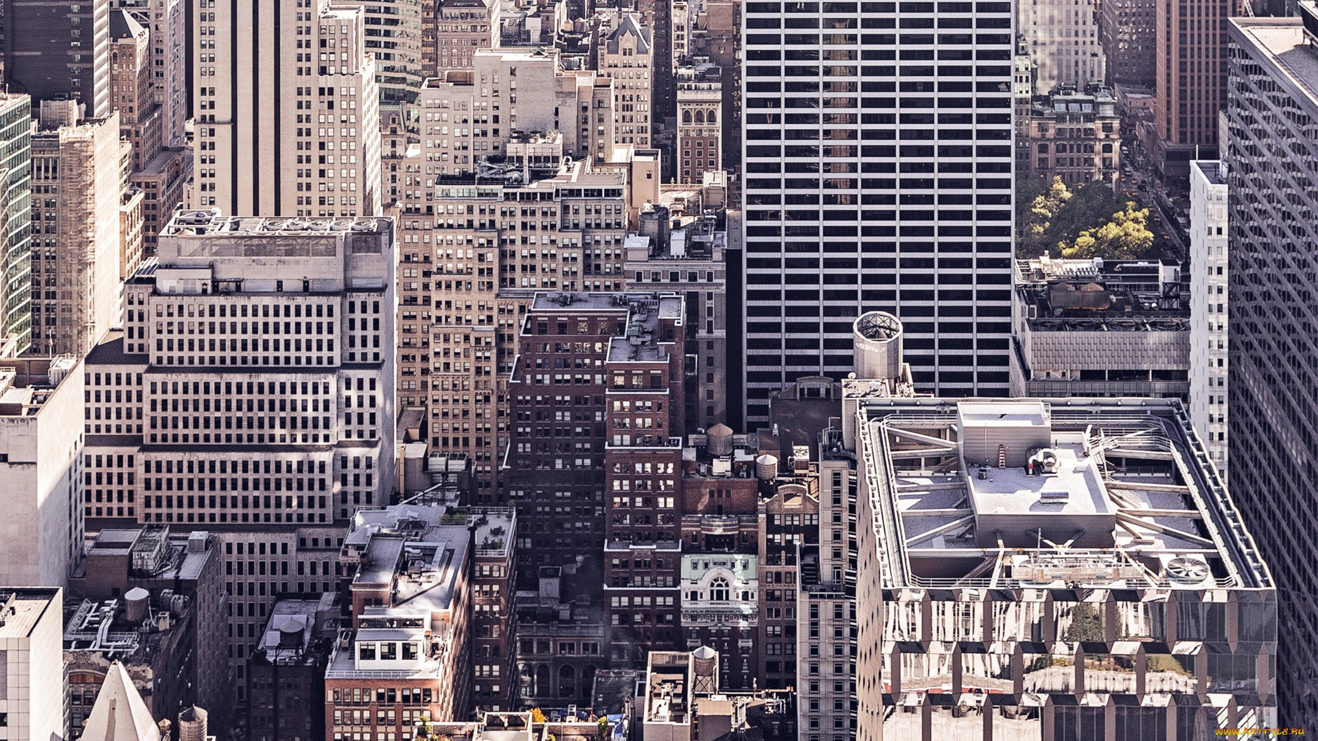 города, нью-йорк, , сша, панорама, здания, дома