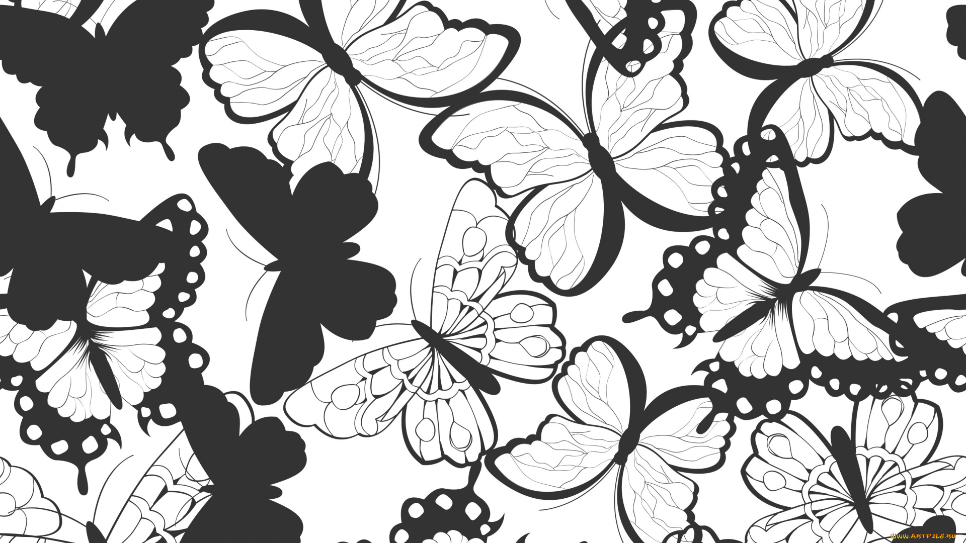 векторная, графика, животные, , animals, черно-белый, бабочки, узор, текстура