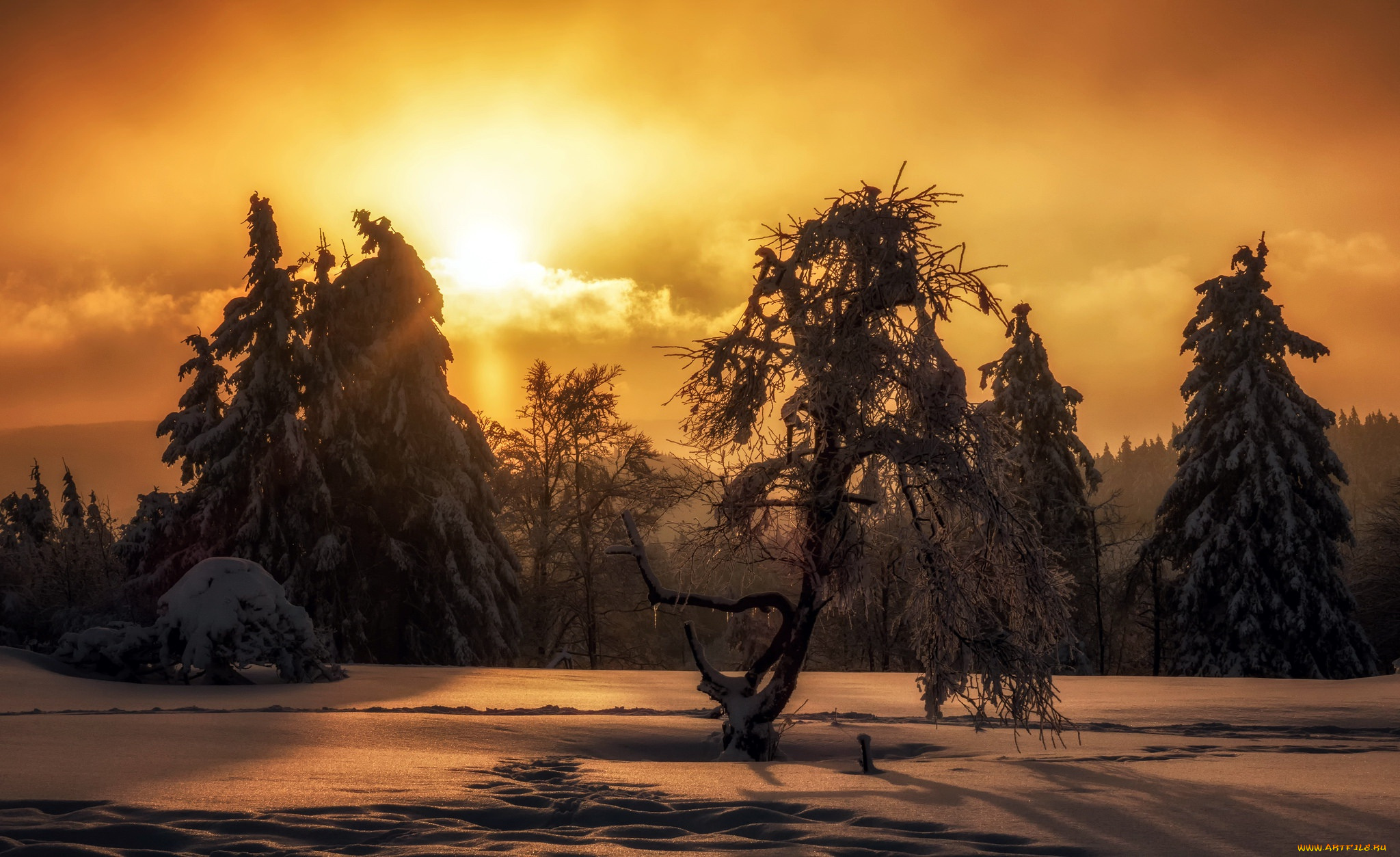 природа, восходы, закаты, закат, зима