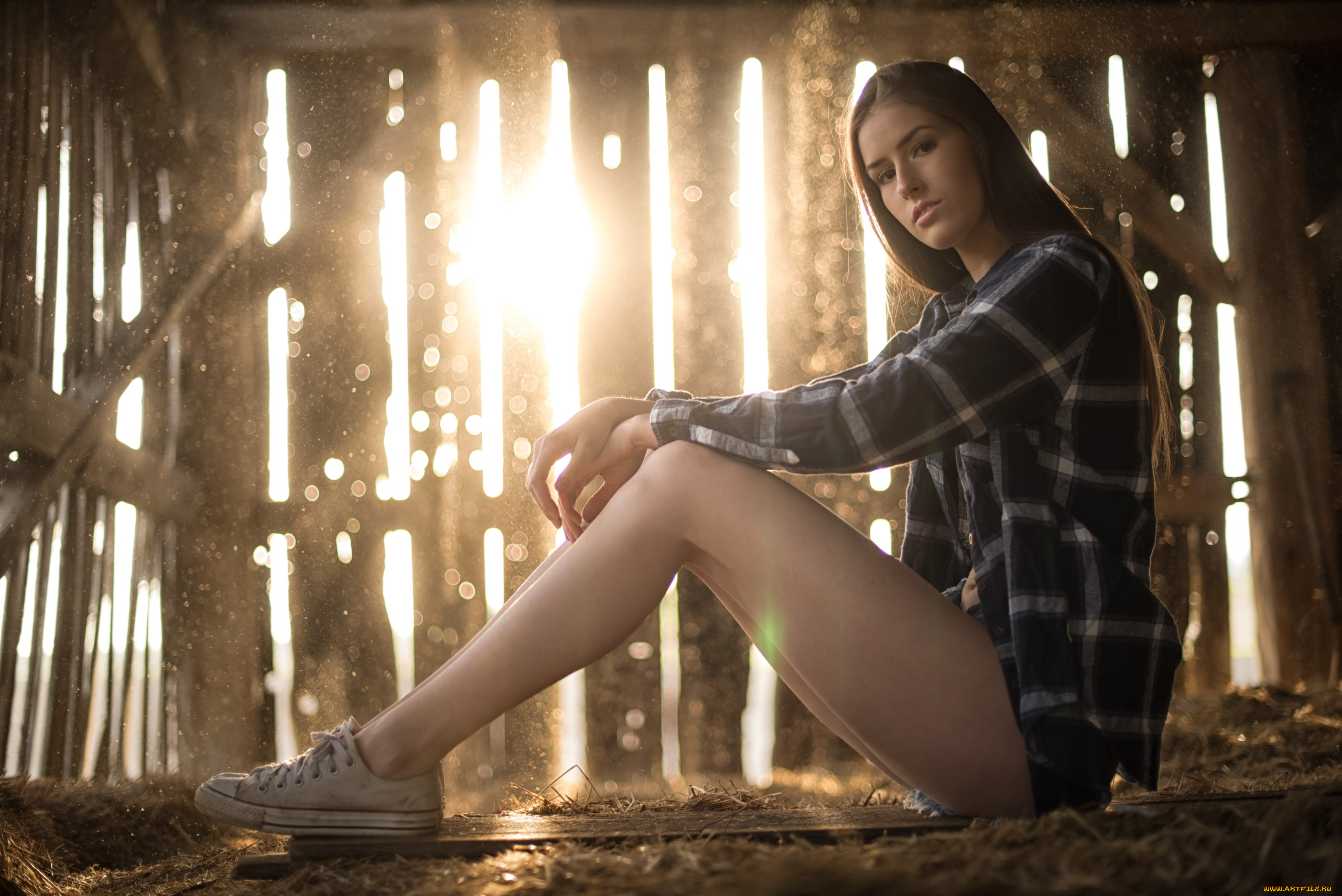 девушка, девушки, -unsort, , брюнетки, темноволосые, модель