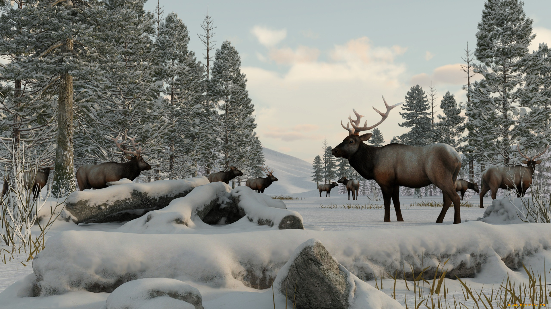 3д, графика, животные, , animals, олени