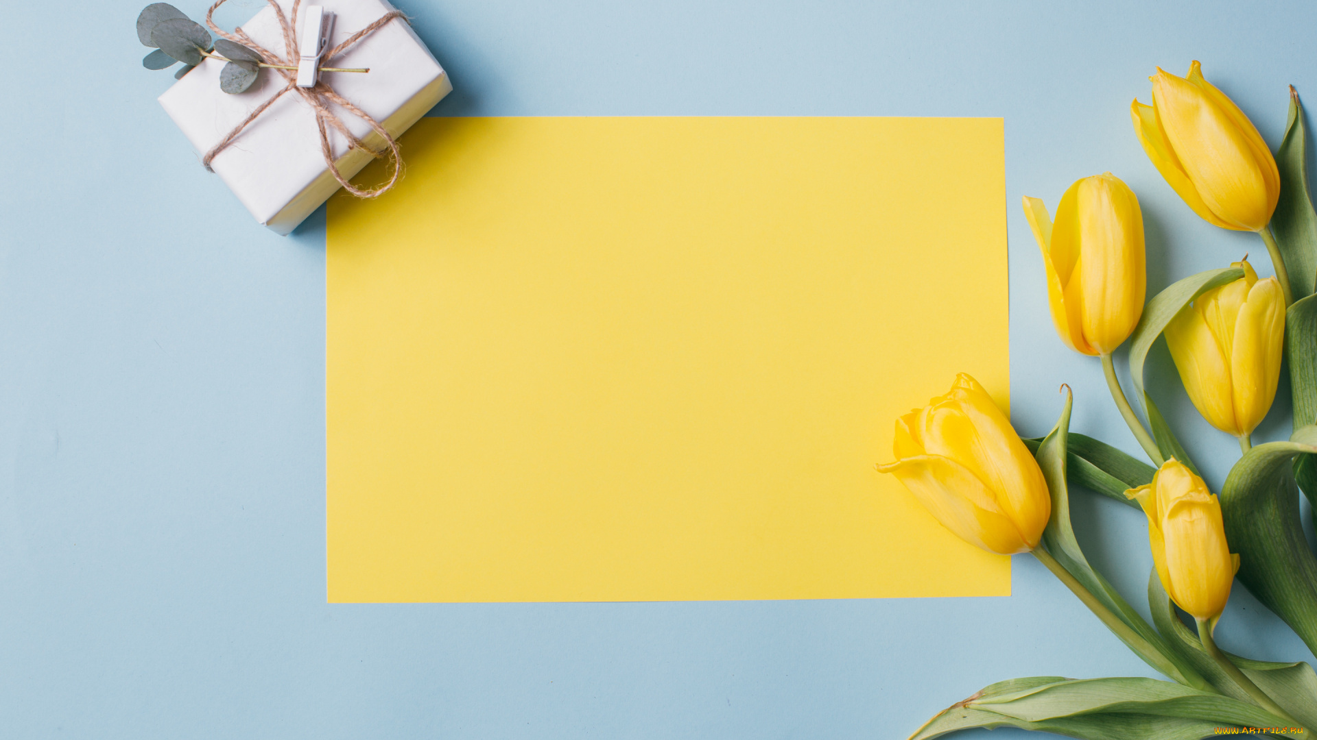 праздничные, подарки, и, коробочки, подарок, цветы