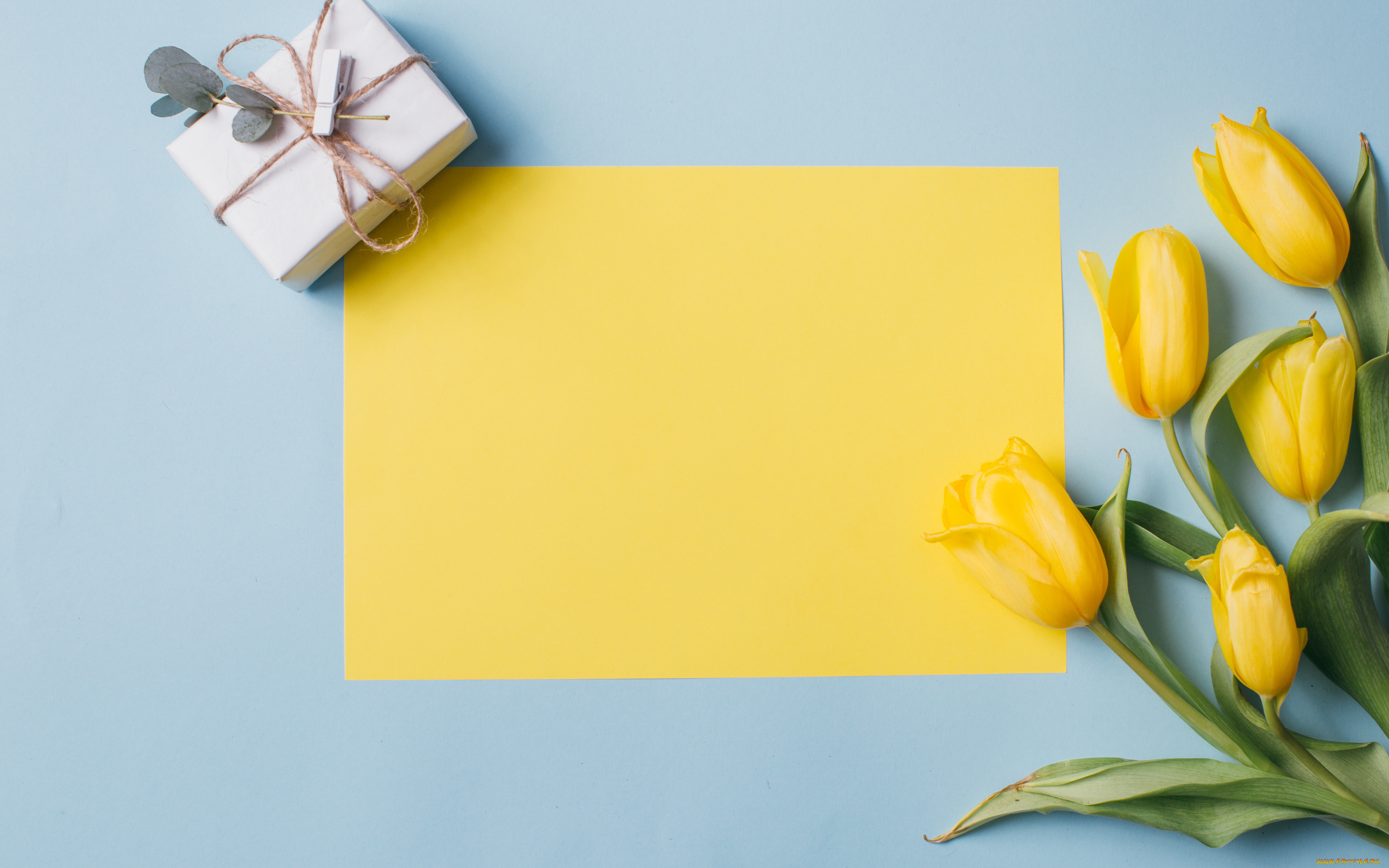 праздничные, подарки, и, коробочки, подарок, цветы