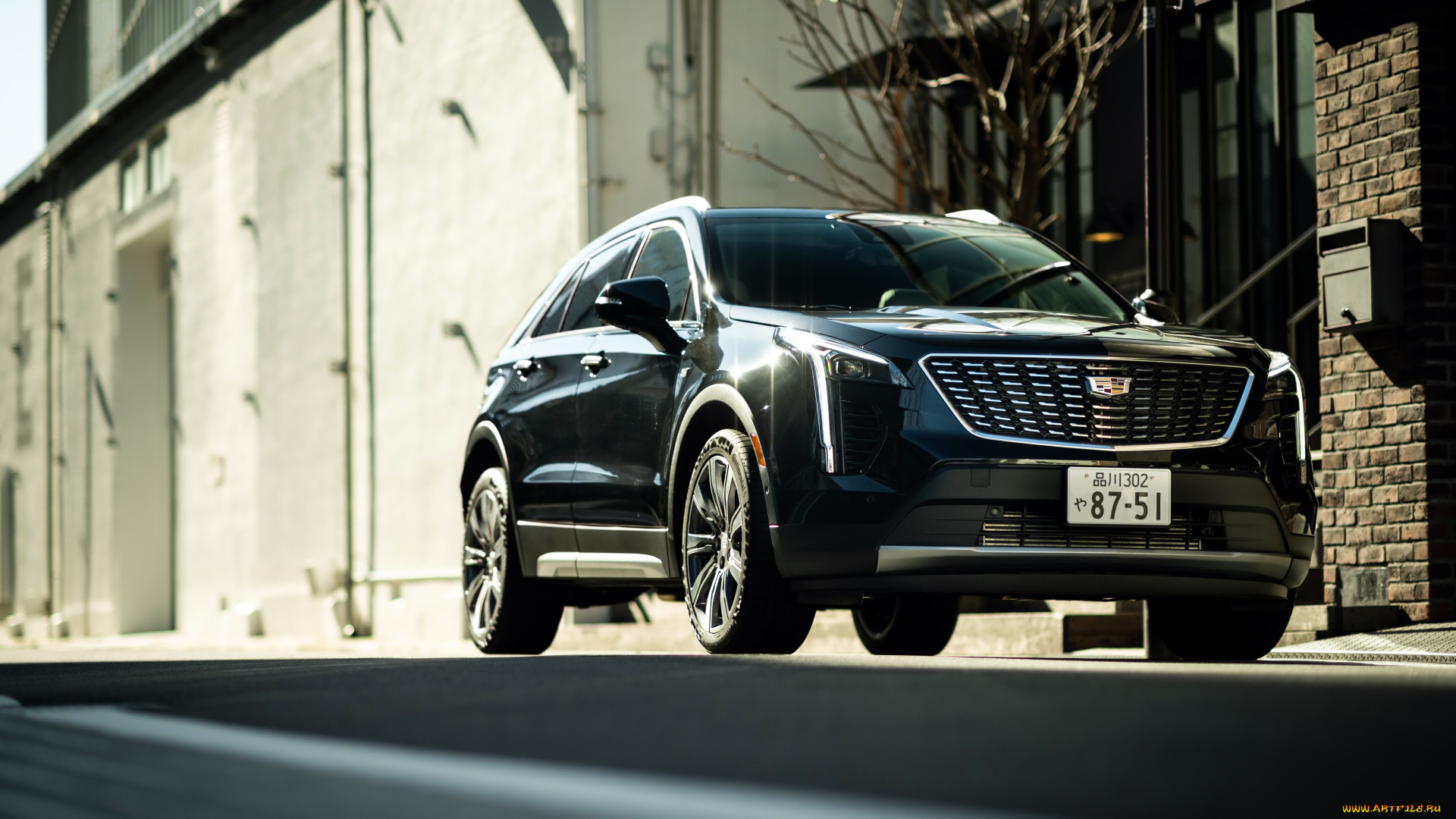 автомобили, cadillac