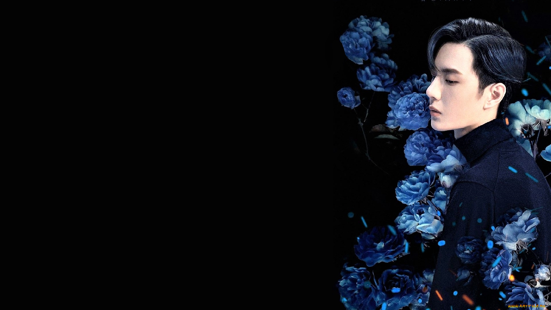 мужчины, wang, yi, bo, актер, певец, цветы