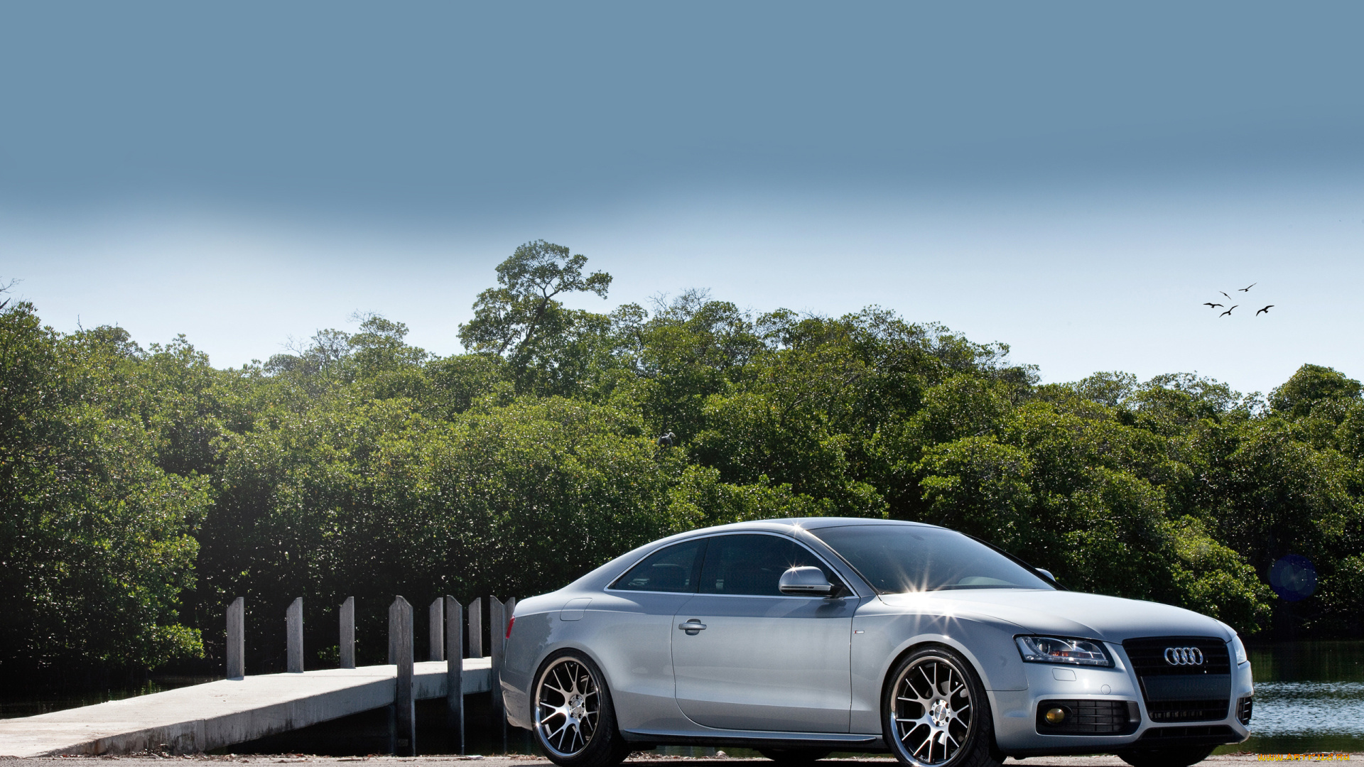 автомобили, audi, серебристый, озеро, мост