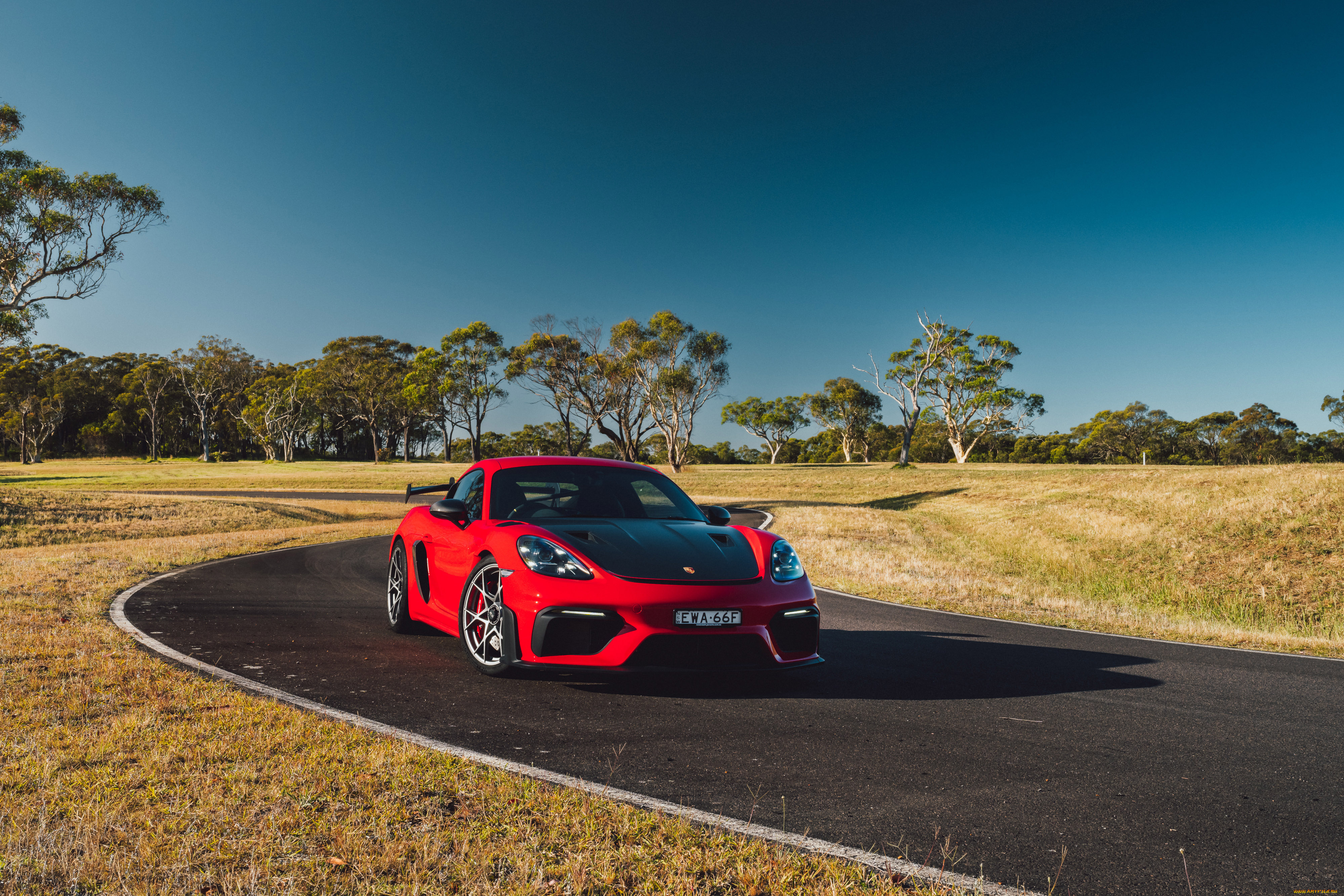 автомобили, porsche