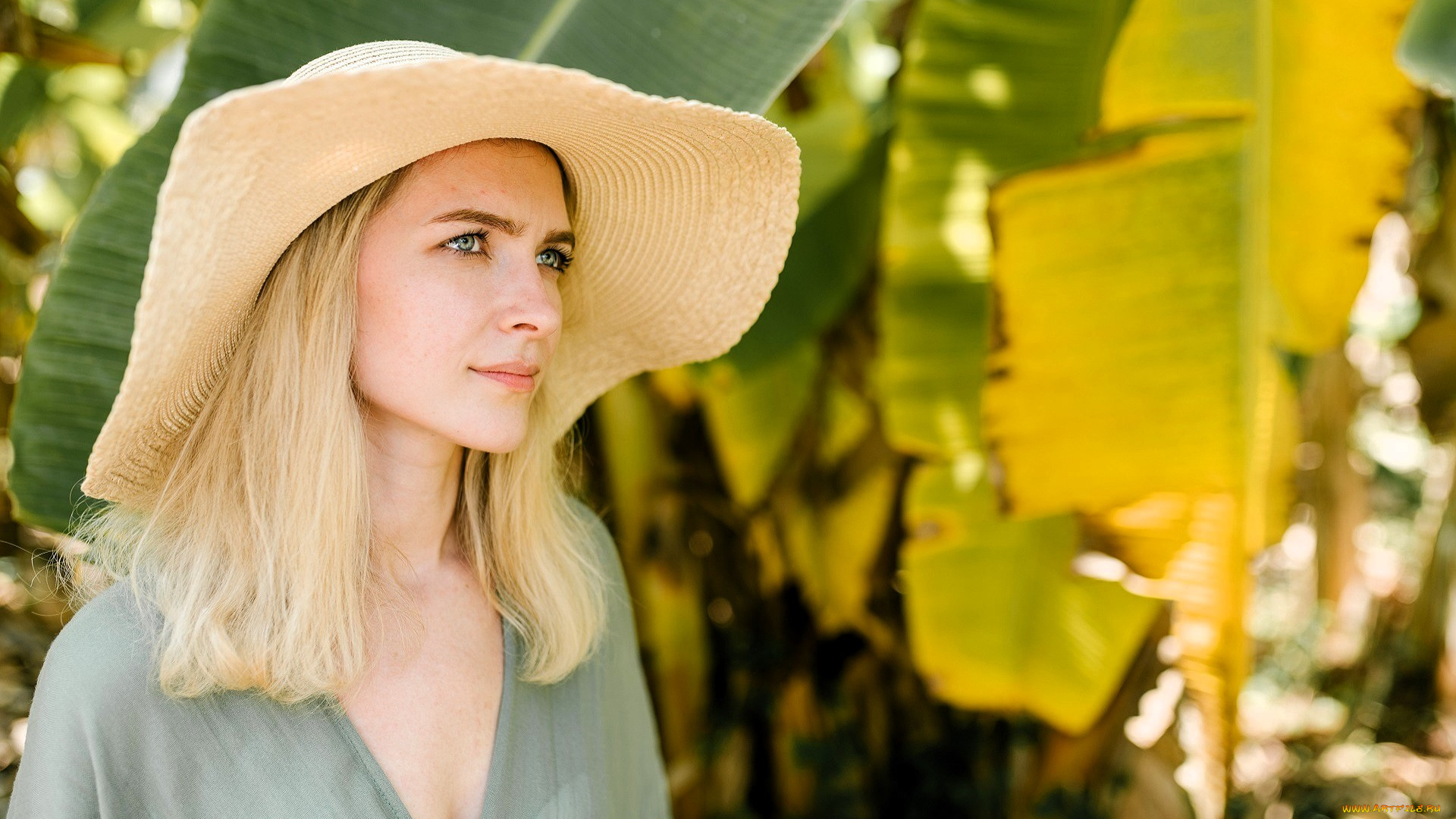 девушки, -, лица, , портреты, блондинка, шляпа, блузка, листья