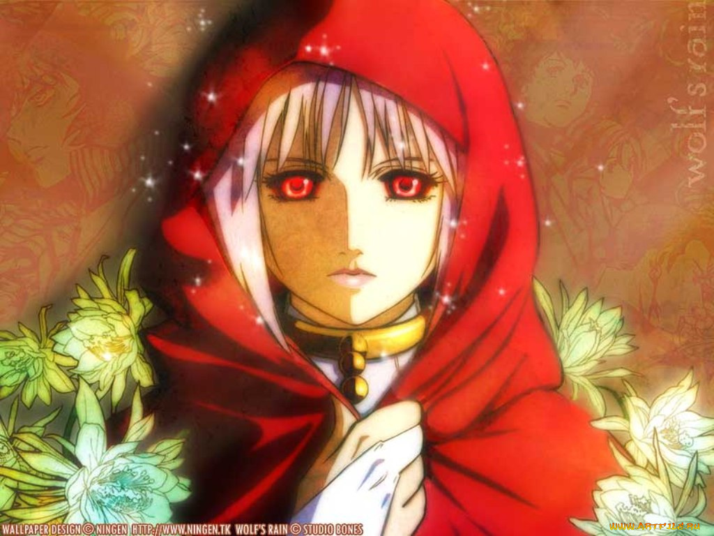 аниме, wolf`s, rain