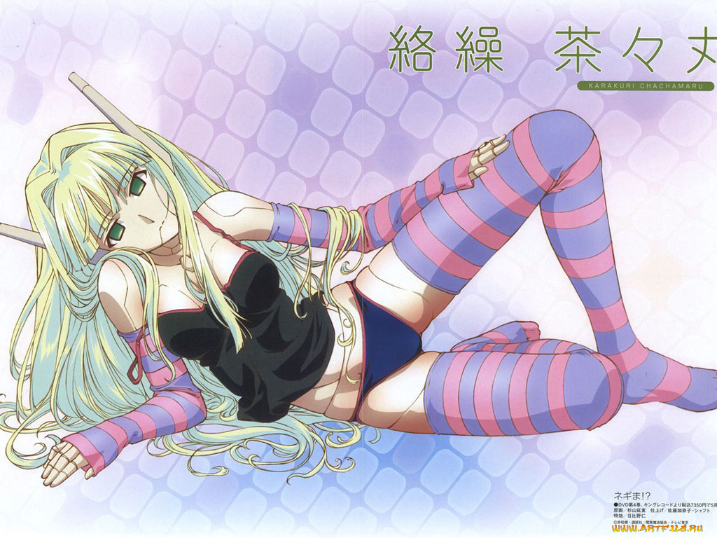 аниме, mahou, sensei, negima